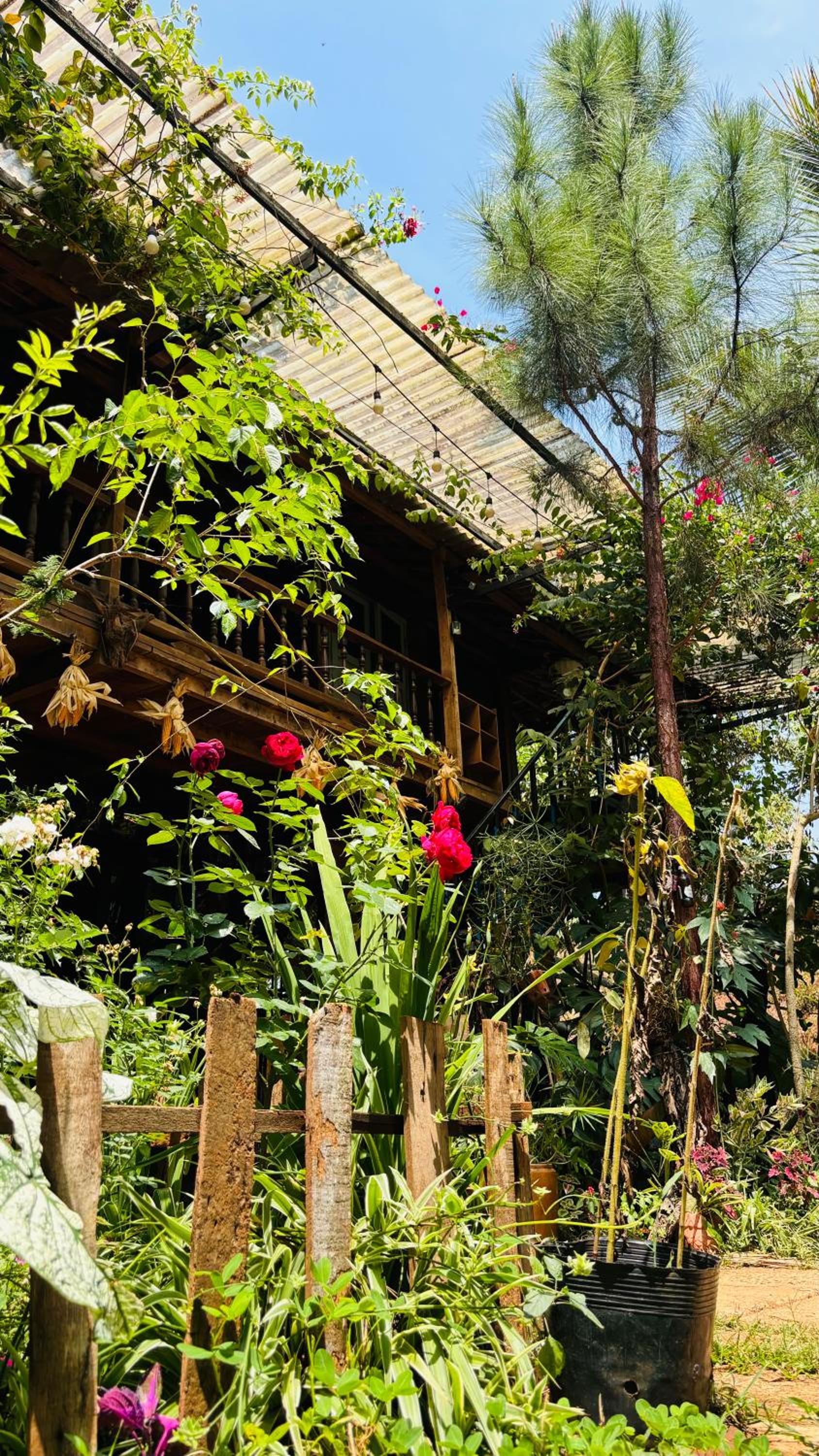 Lily's Stone Garden bungalow view 3