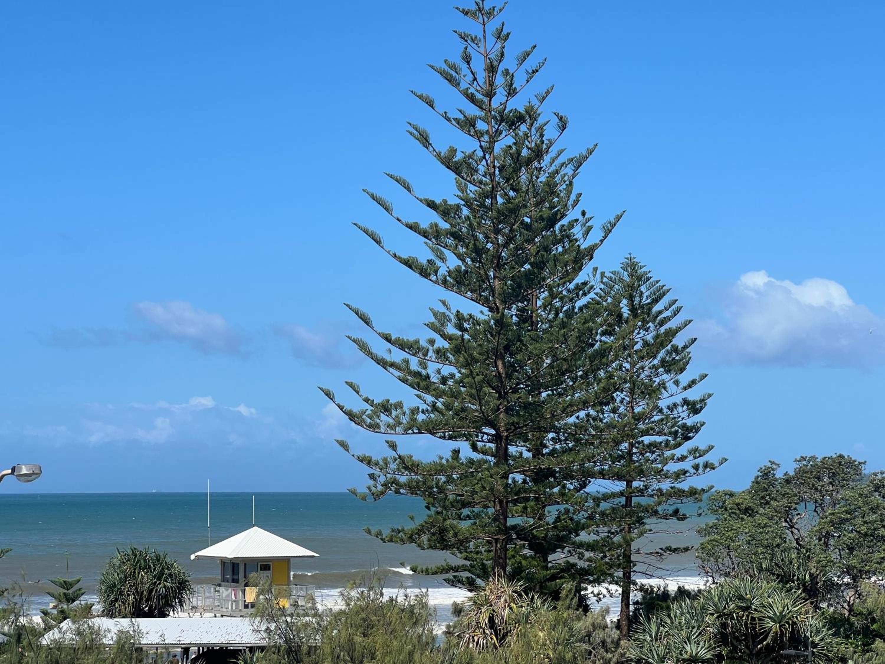 Ocean View - Alexandra Headlands Beachfront Unit