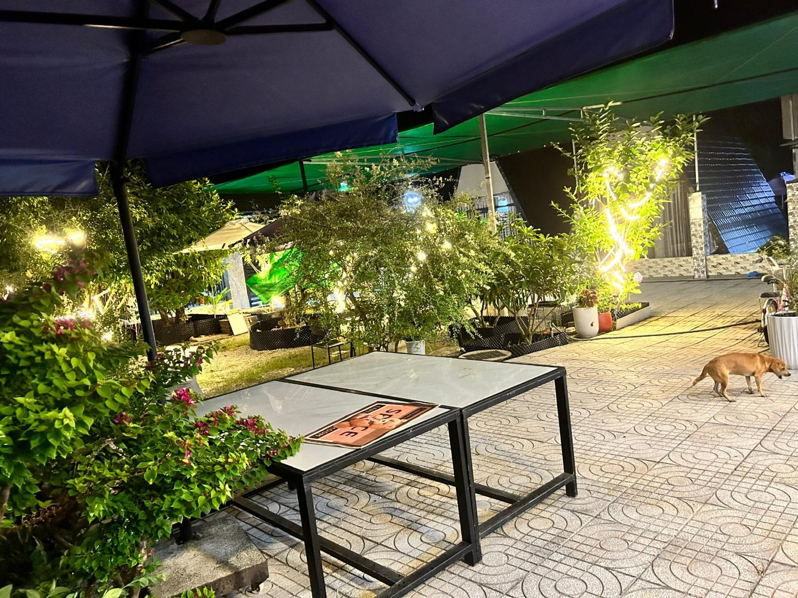 Homestay Á Âu Family view 3