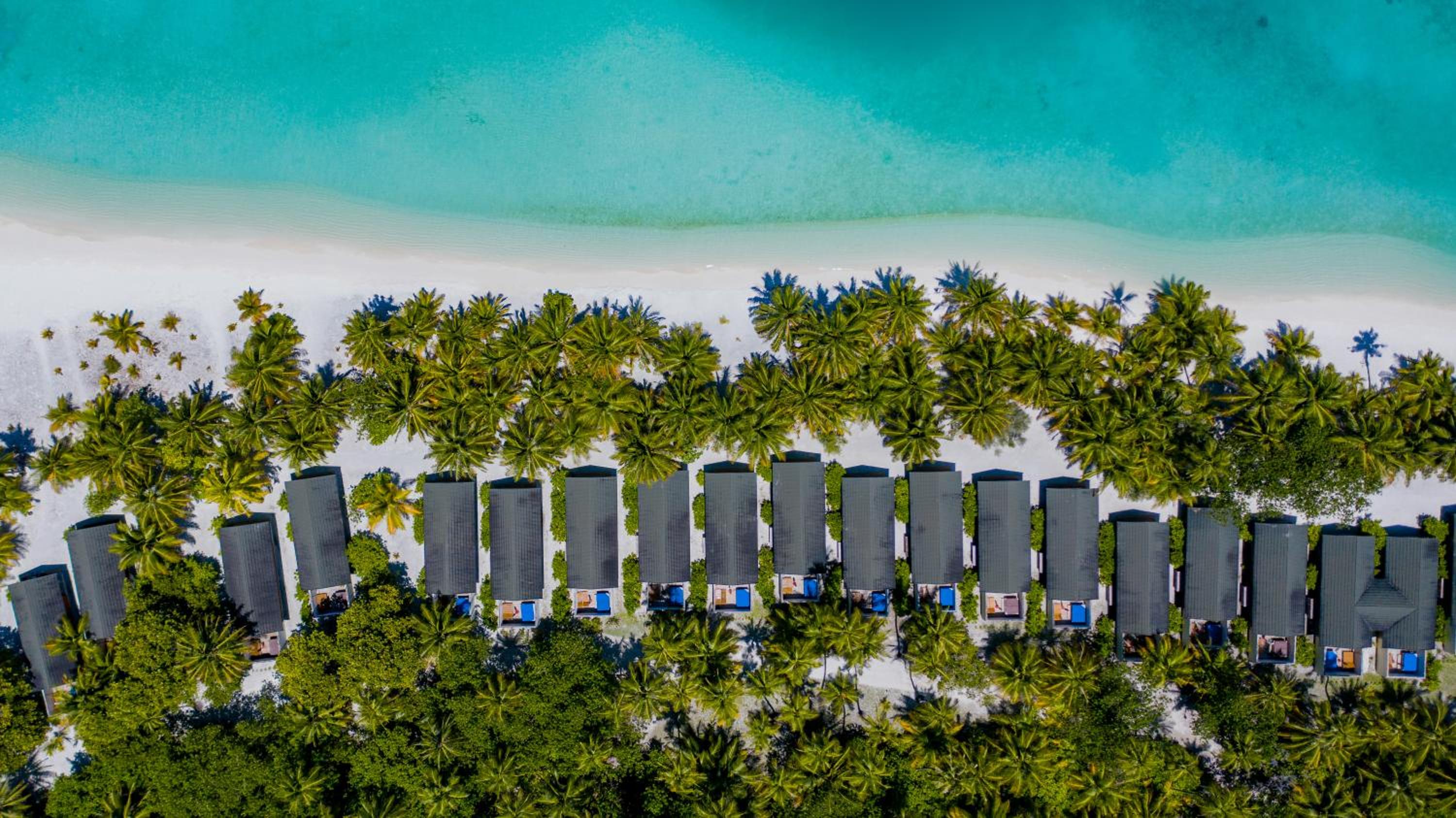 Meeru Maldives Resort Island photo 4