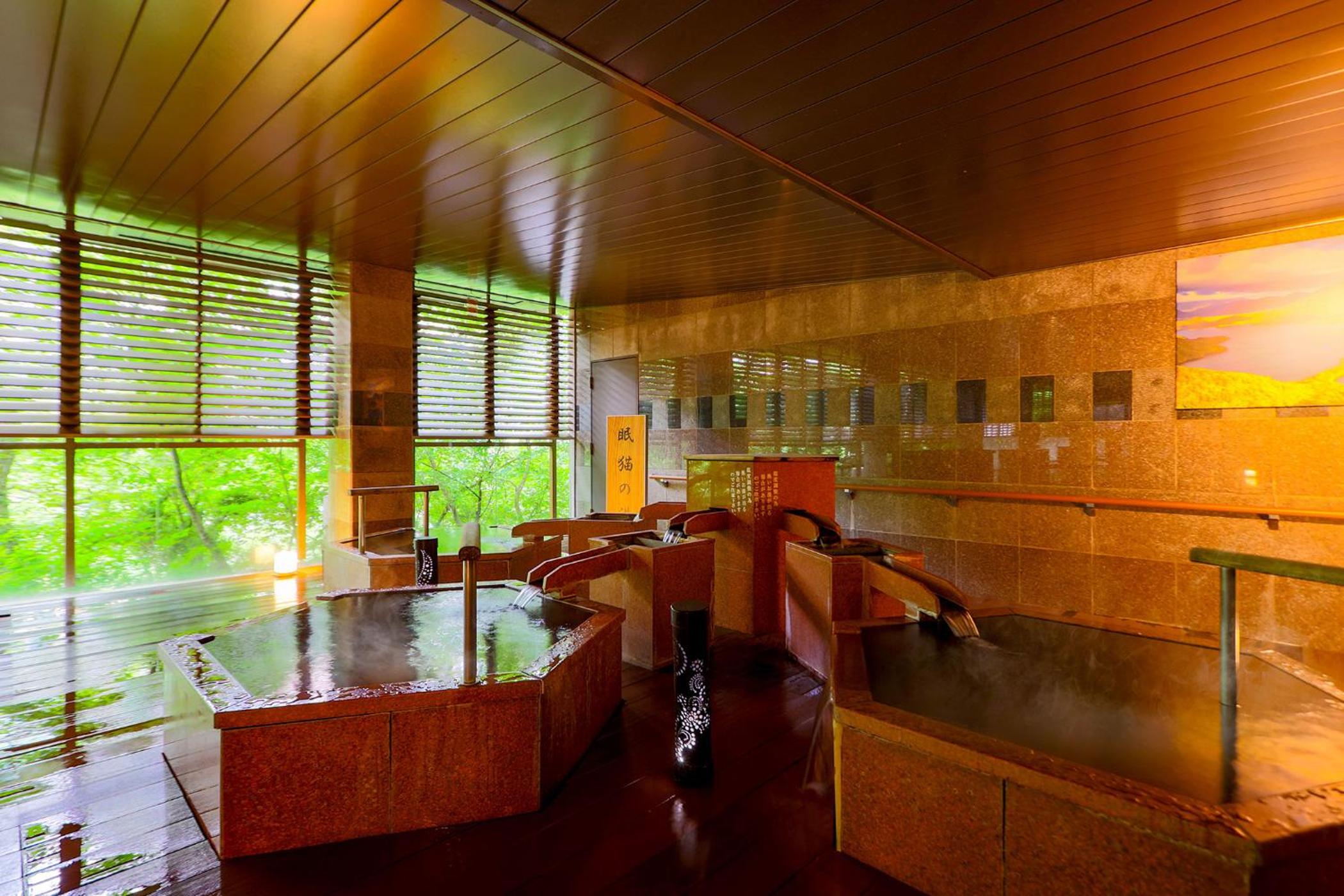 Ooedo Onsen Monogatari Premium Kinugawa Kanko Hotel