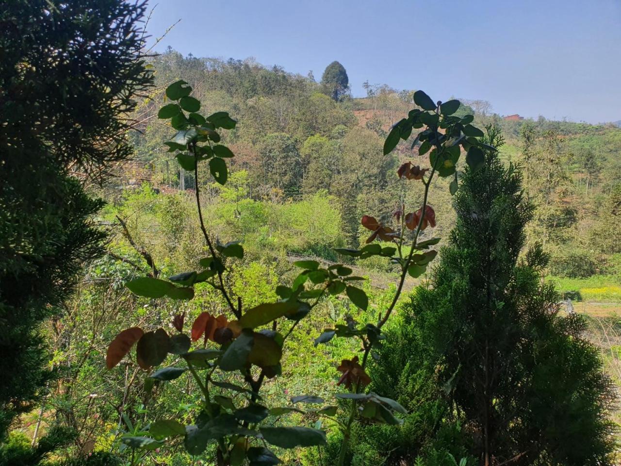 Sapa Garden Bungalow