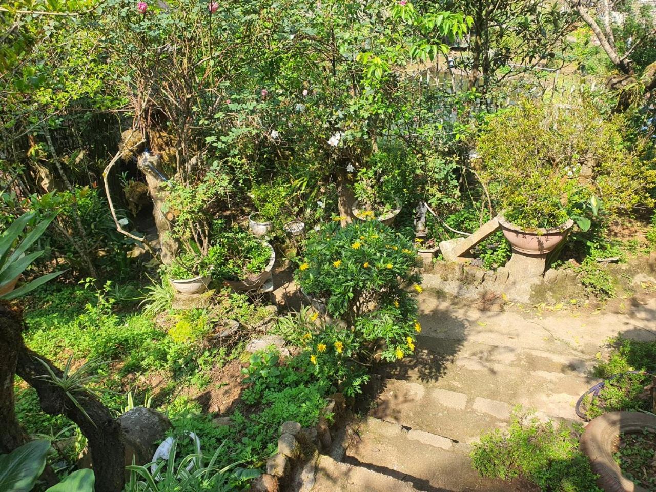 Sapa Garden Bungalow