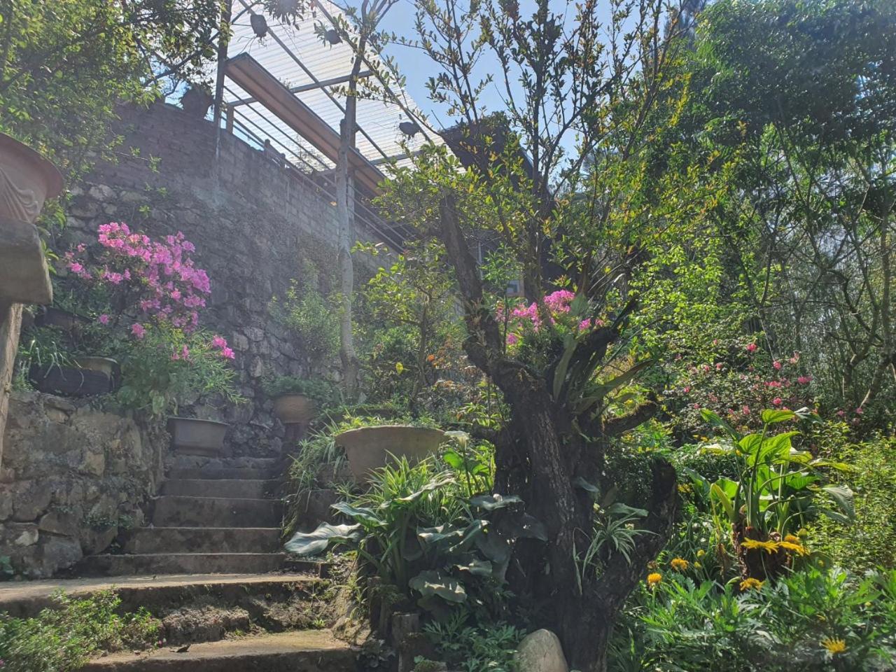 Sapa Garden Bungalow