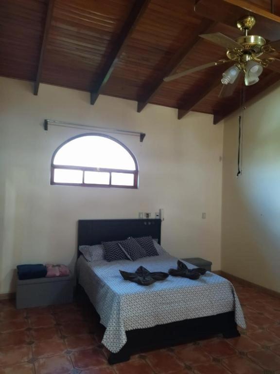 casa-patriana