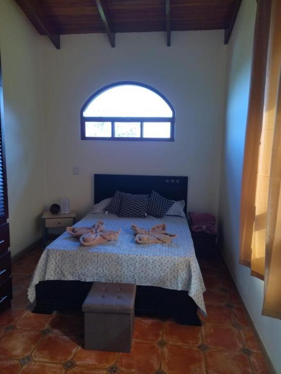 casa-patriana