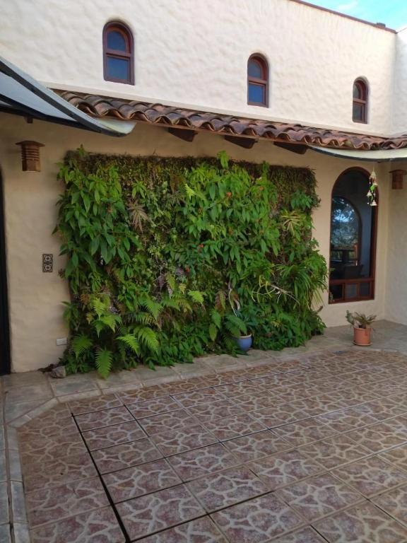 casa-patriana