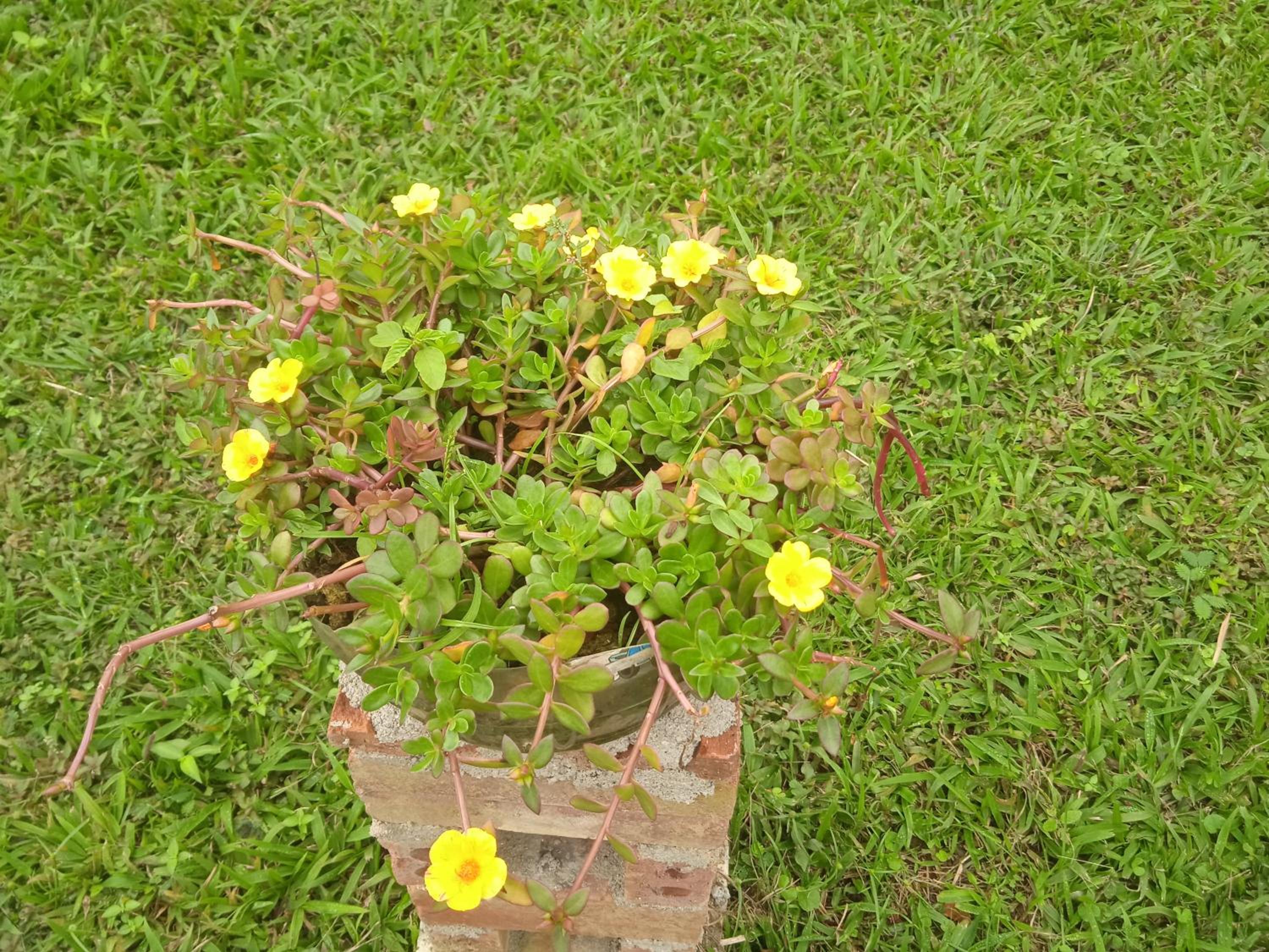 Ngoặng homestay - phòng nghỉ trọ