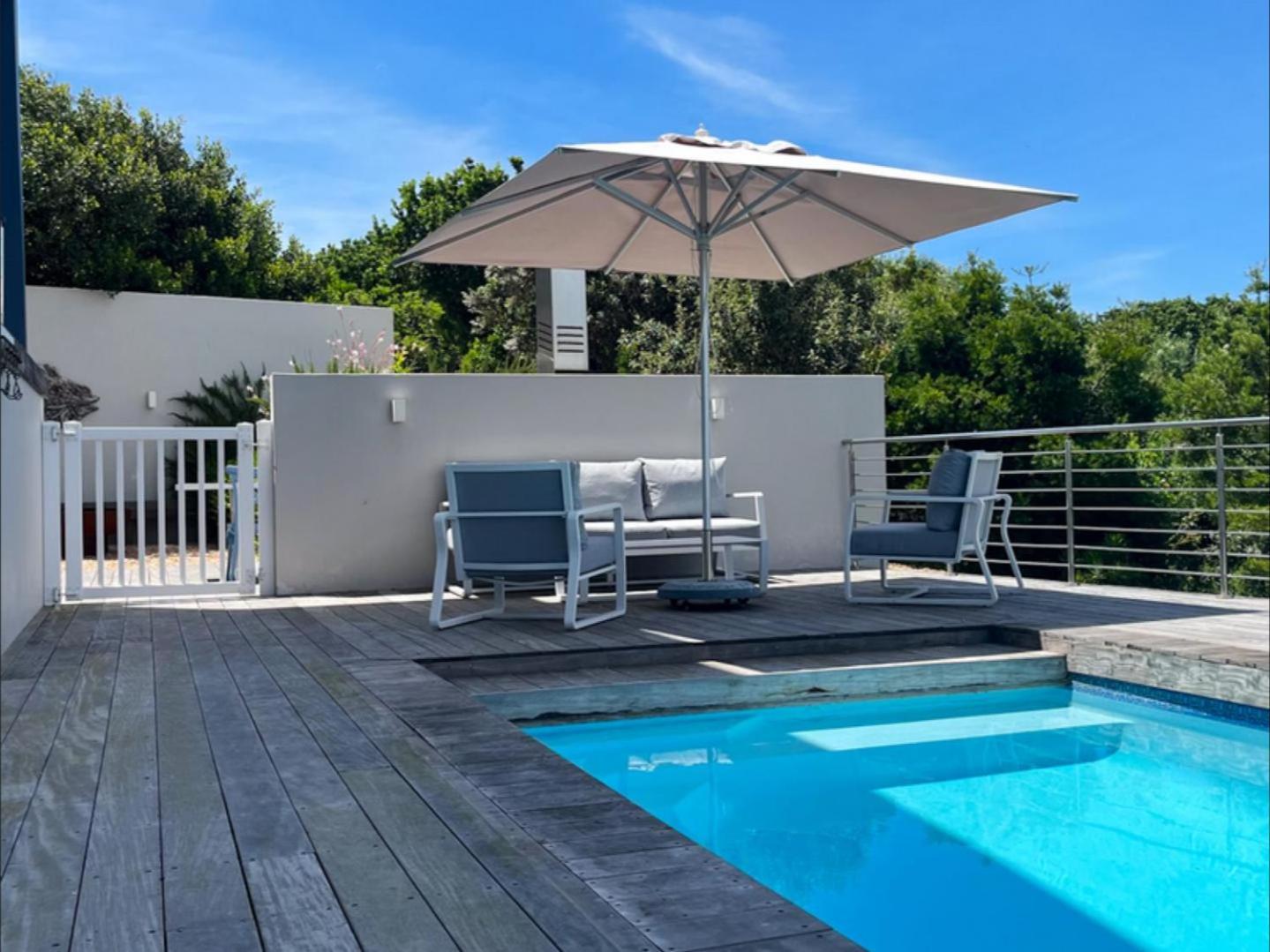 Dolphin Dream view 5