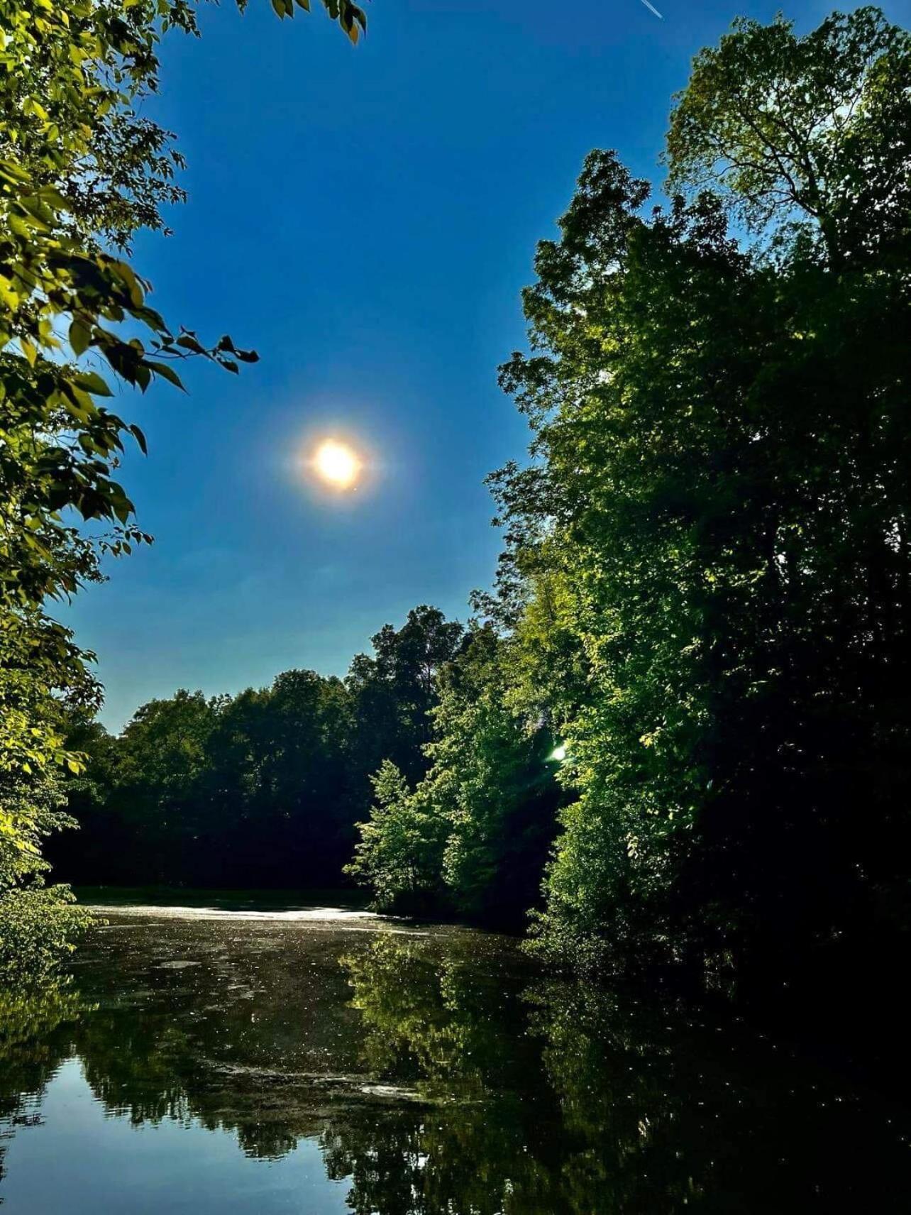 5 Star Cabin In Brown County view 5