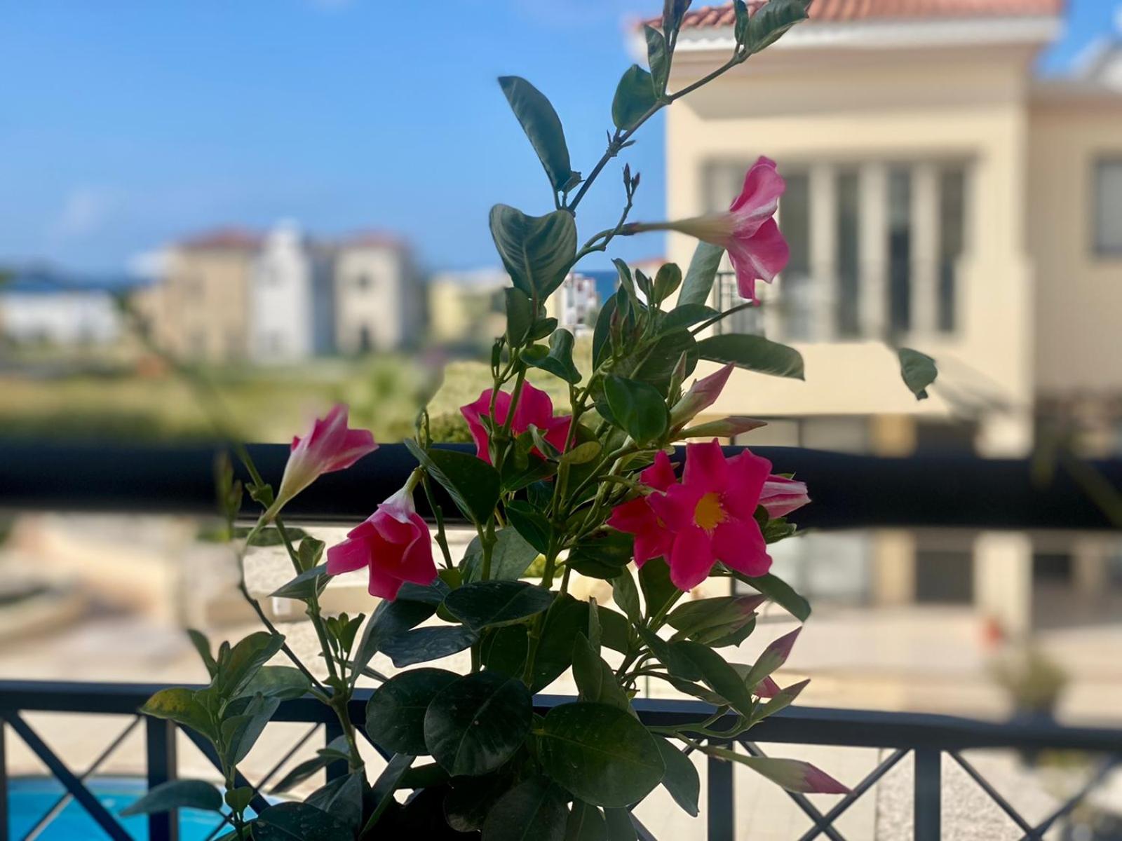 Faros Beach sea view apart