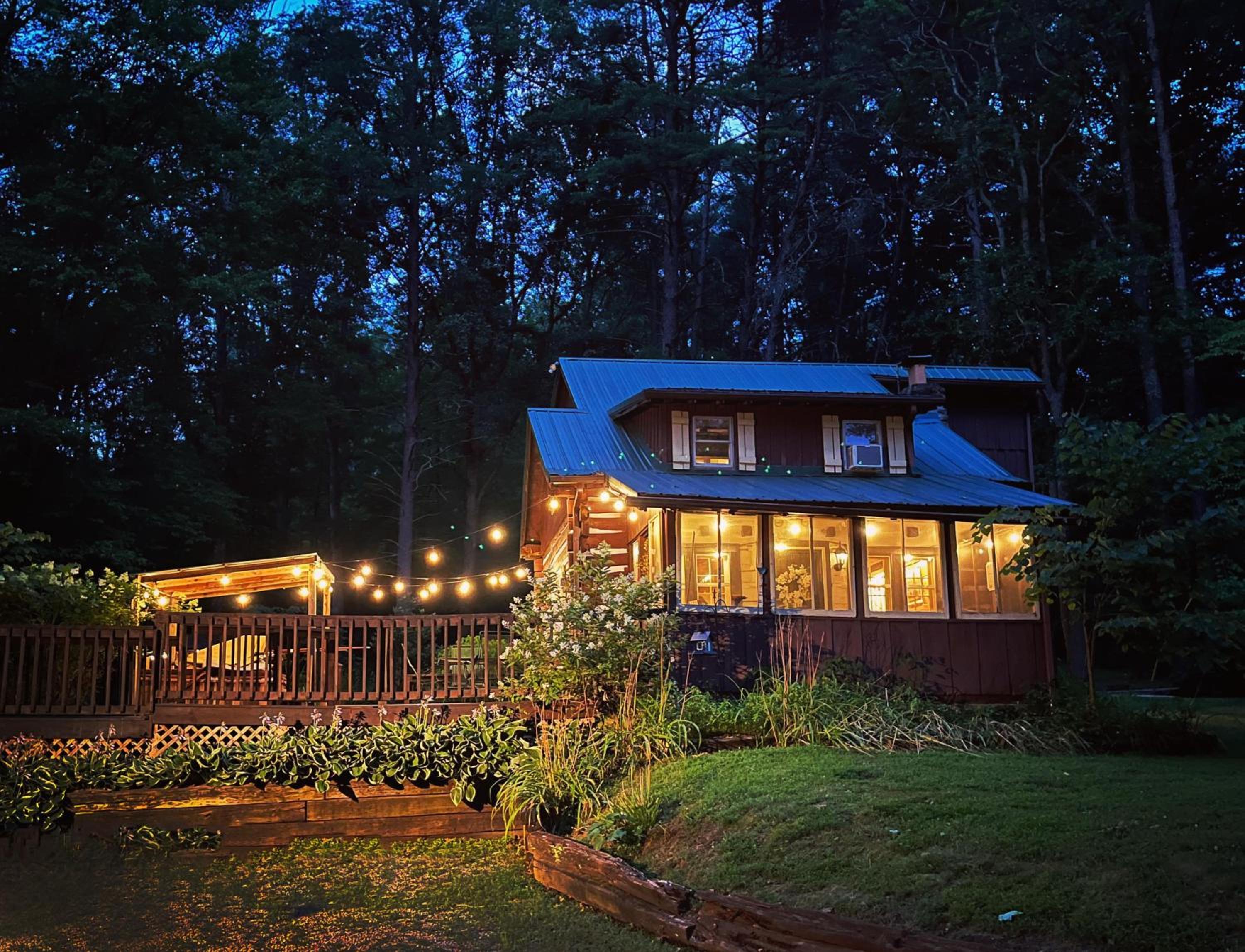 Seymour Vacations - Atop Pine Hill Cabin - Property Image 1