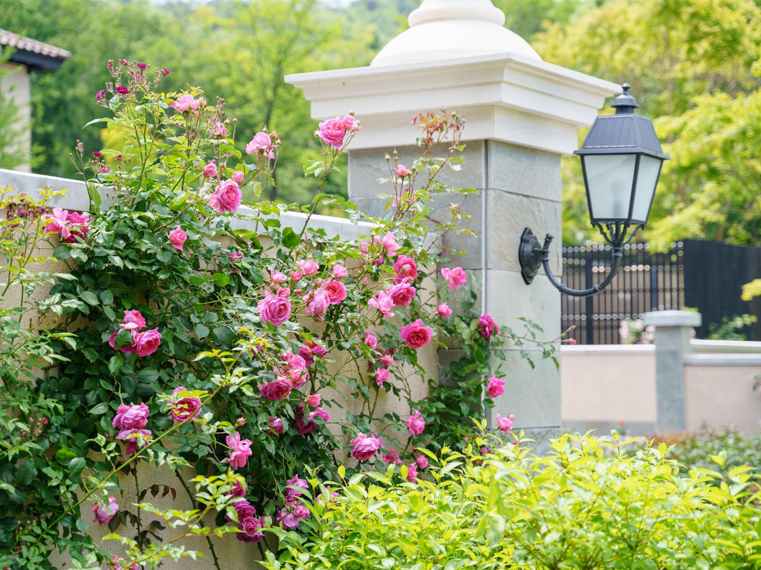Le Grand Karuizawa Hotel and Resort