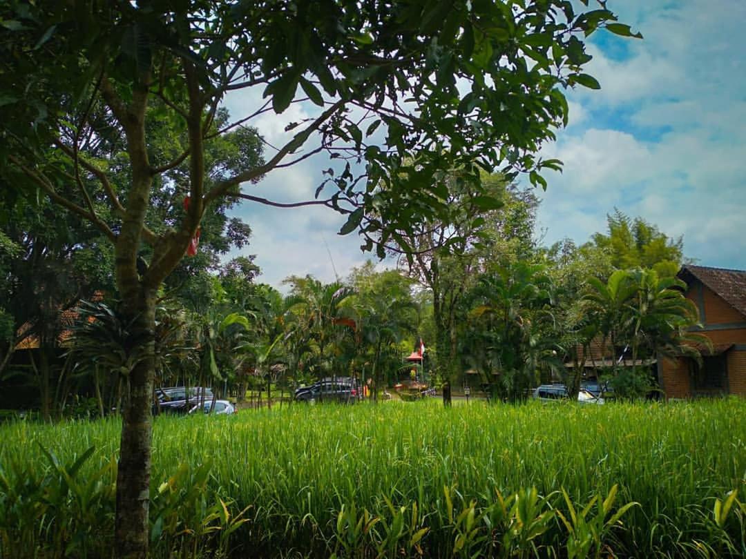 Hills Joglo Villa