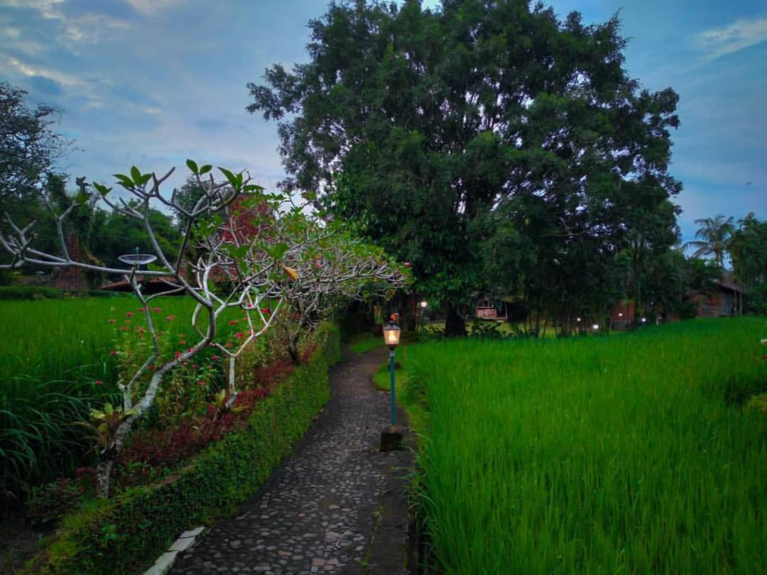 Hills Joglo Villa, photo 36