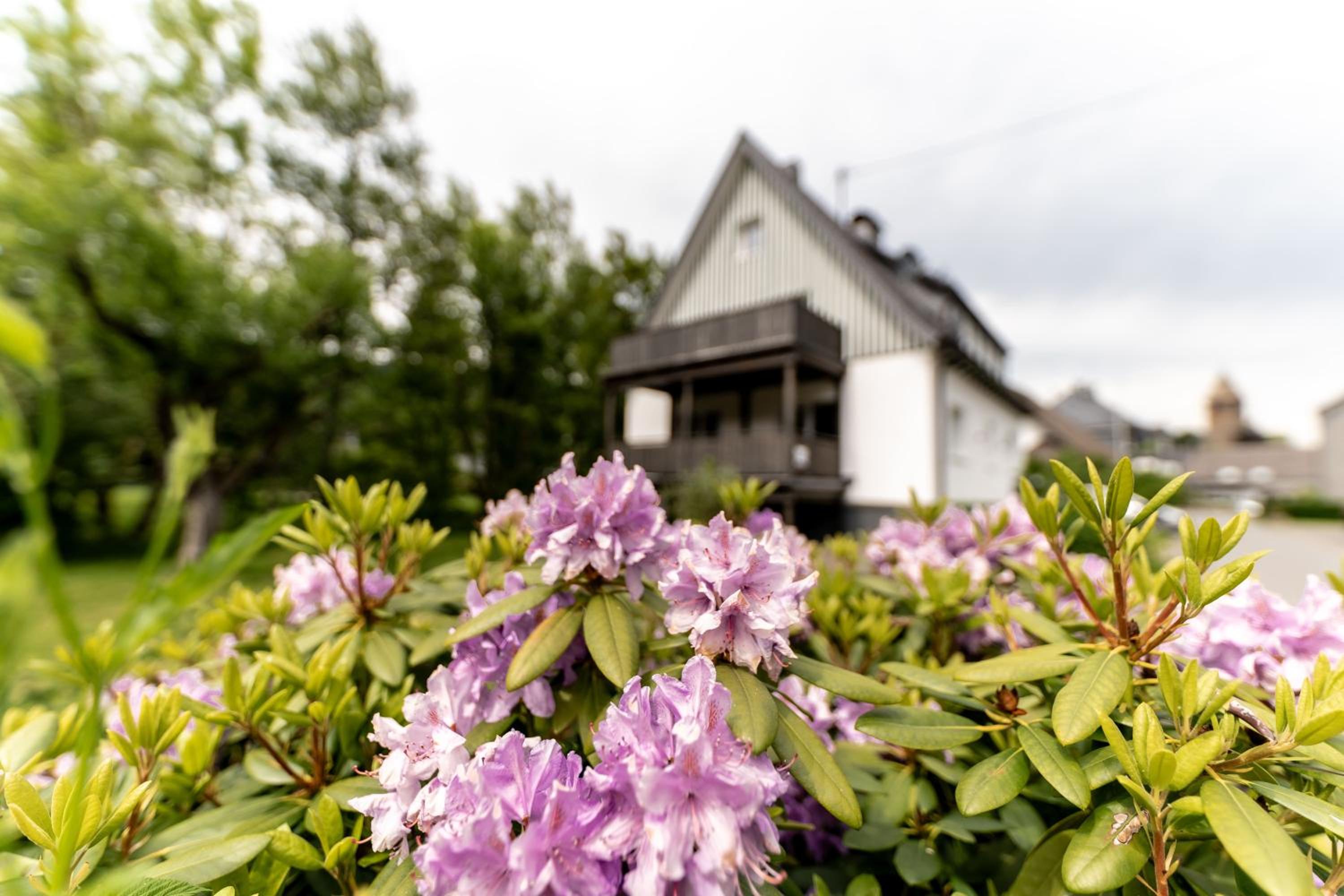 Ferienwohnung Haus An der Lenne