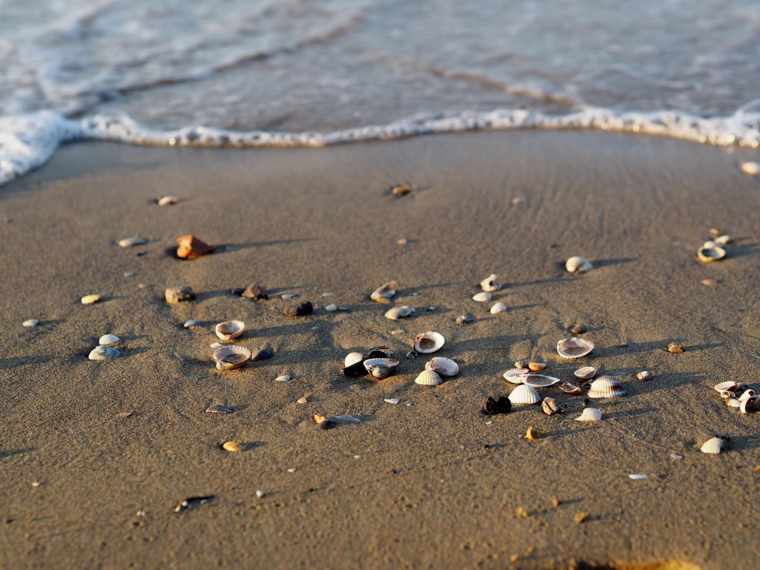 other