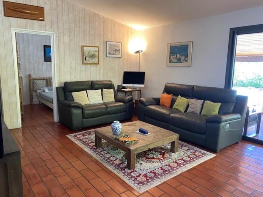 Villa Les Palmiers piscine & vue view 3