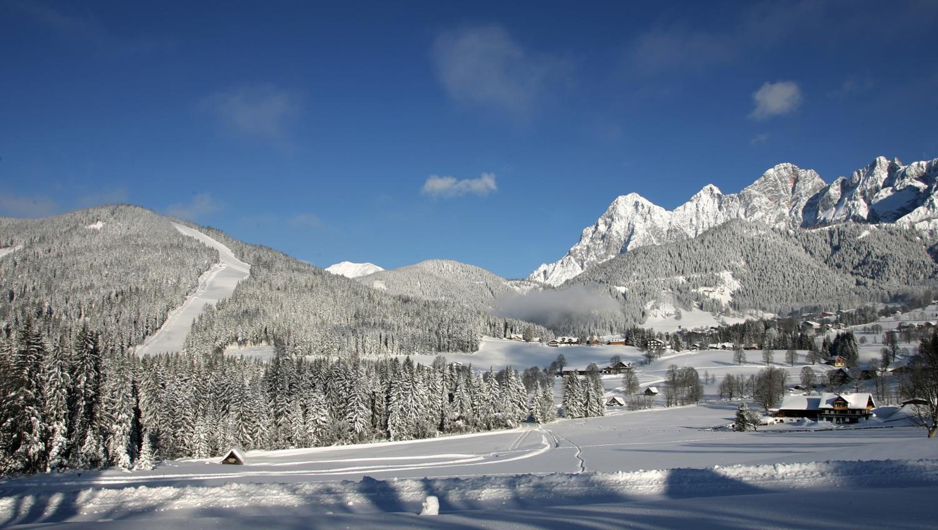 Bio-Bauernhof Simonbauer