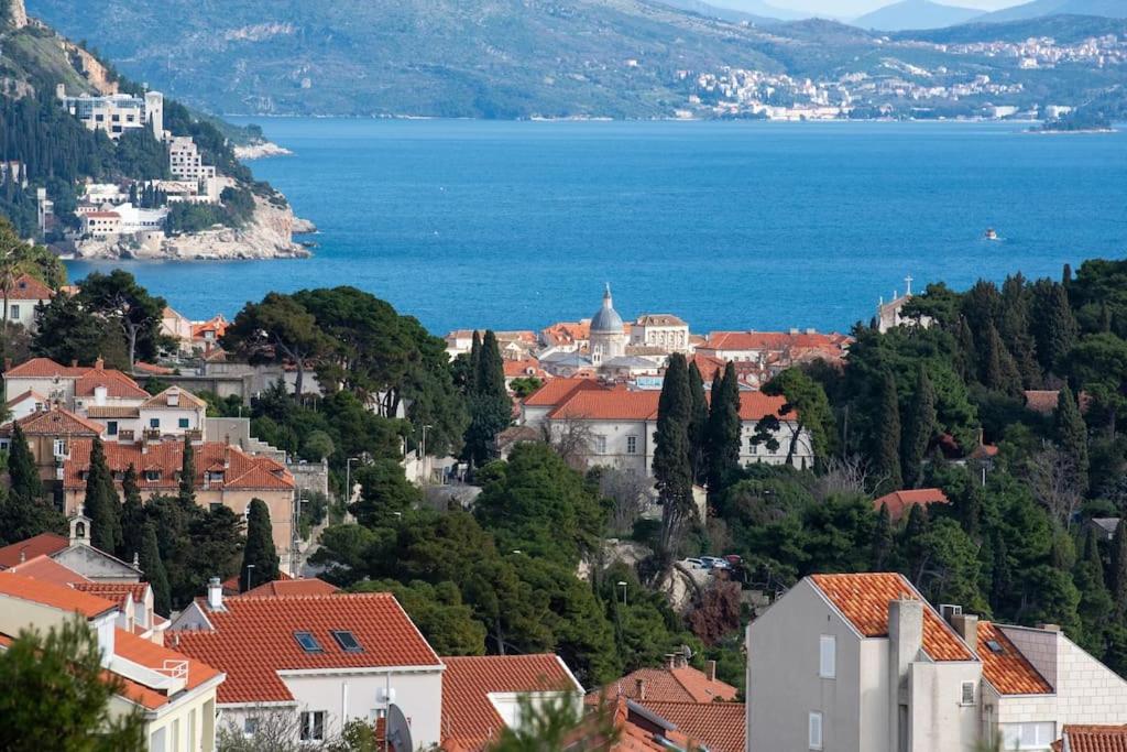 Apartment Amon Estel