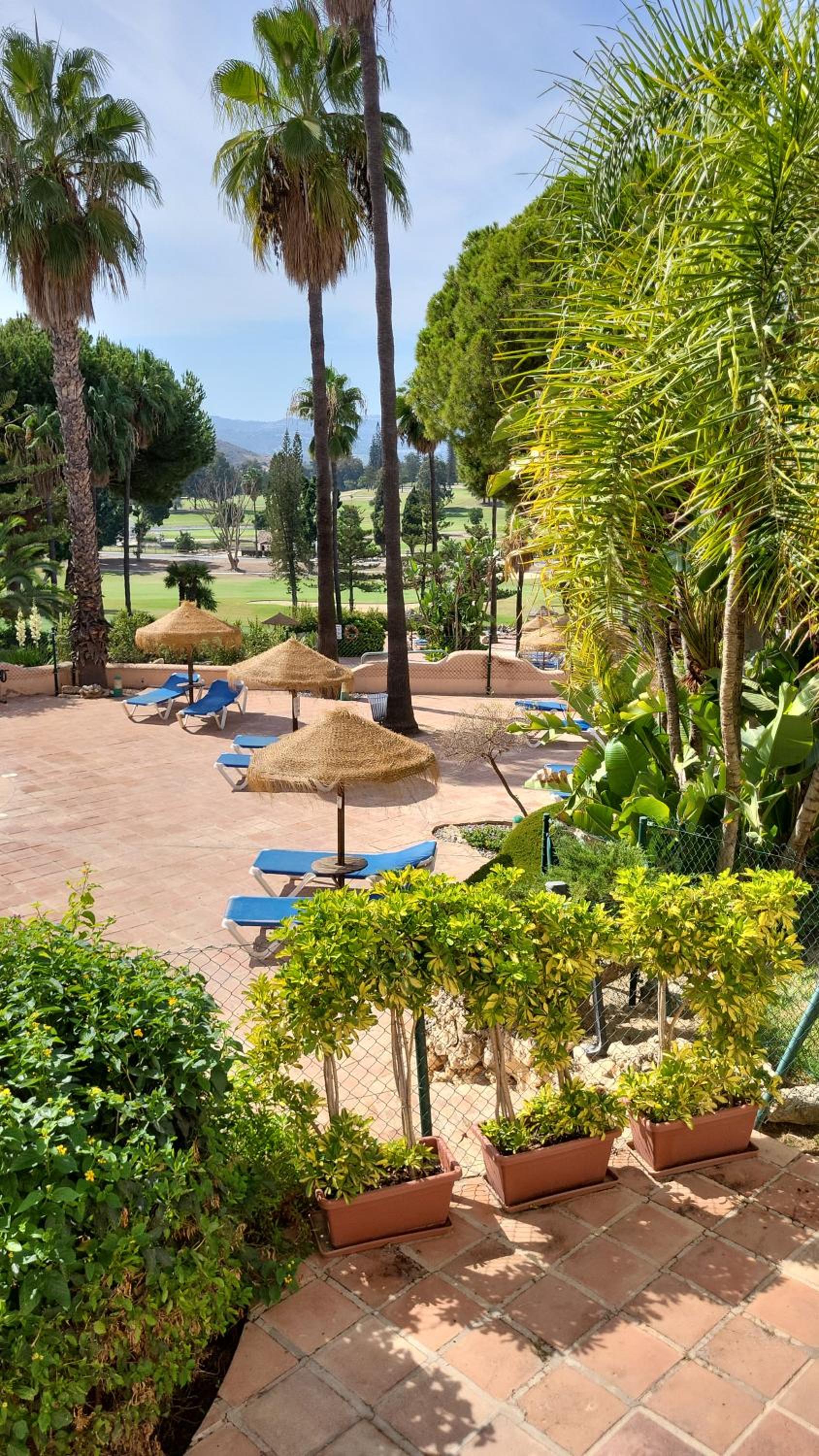 Matchroom Country Club Perla Roja 1