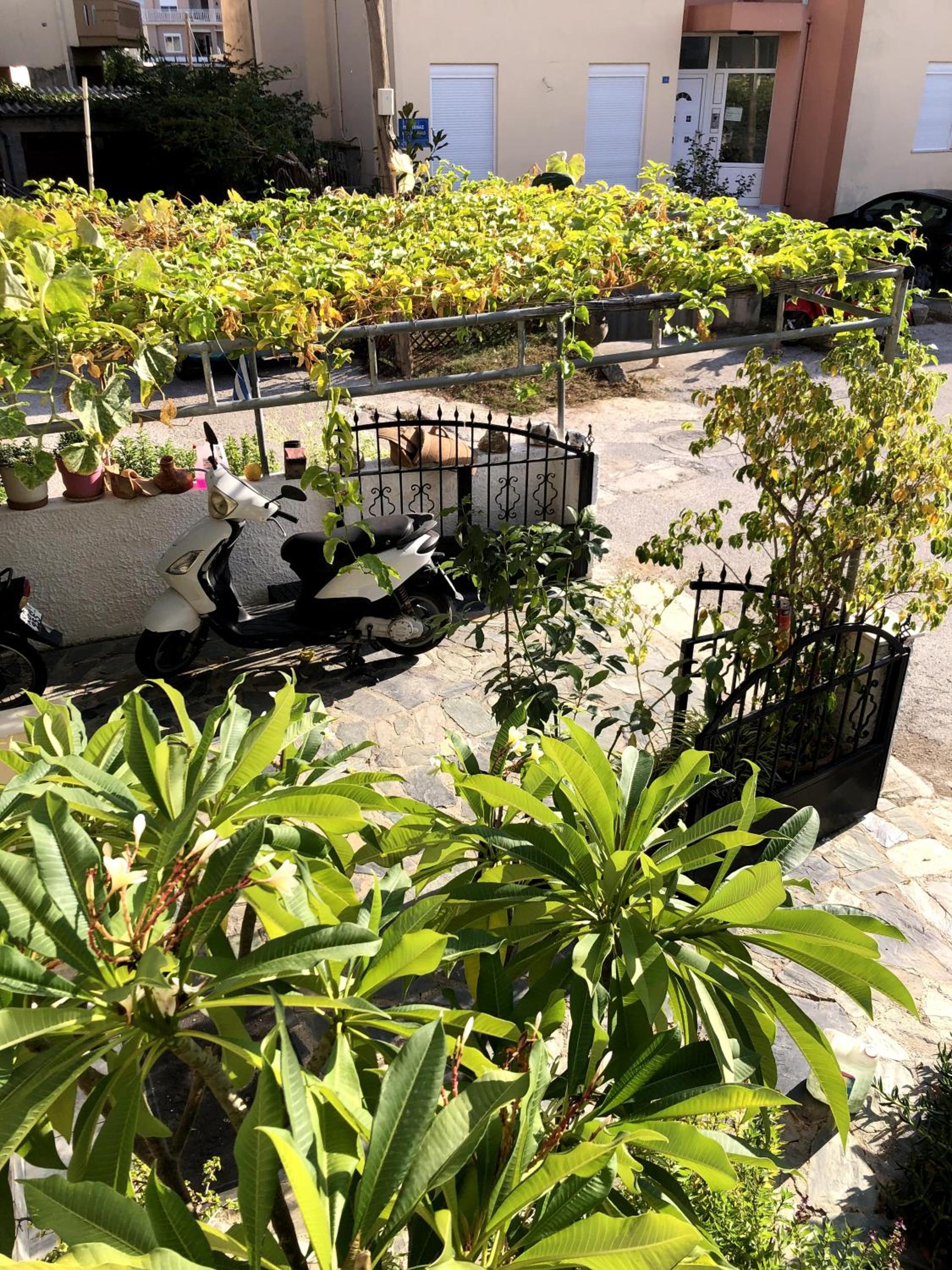 Rosy's House with all Amenities near Chania