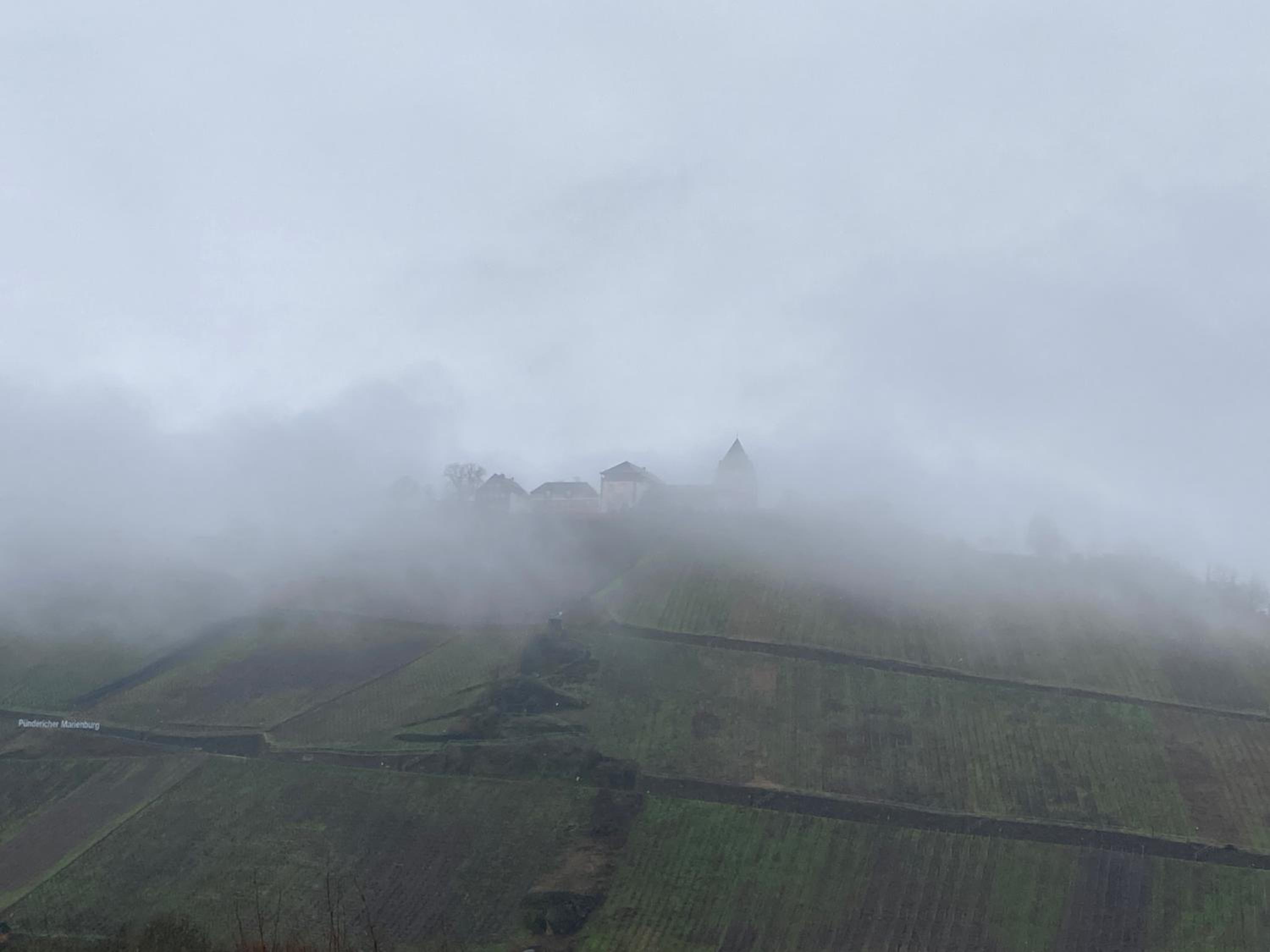 Burgblick Pünderich