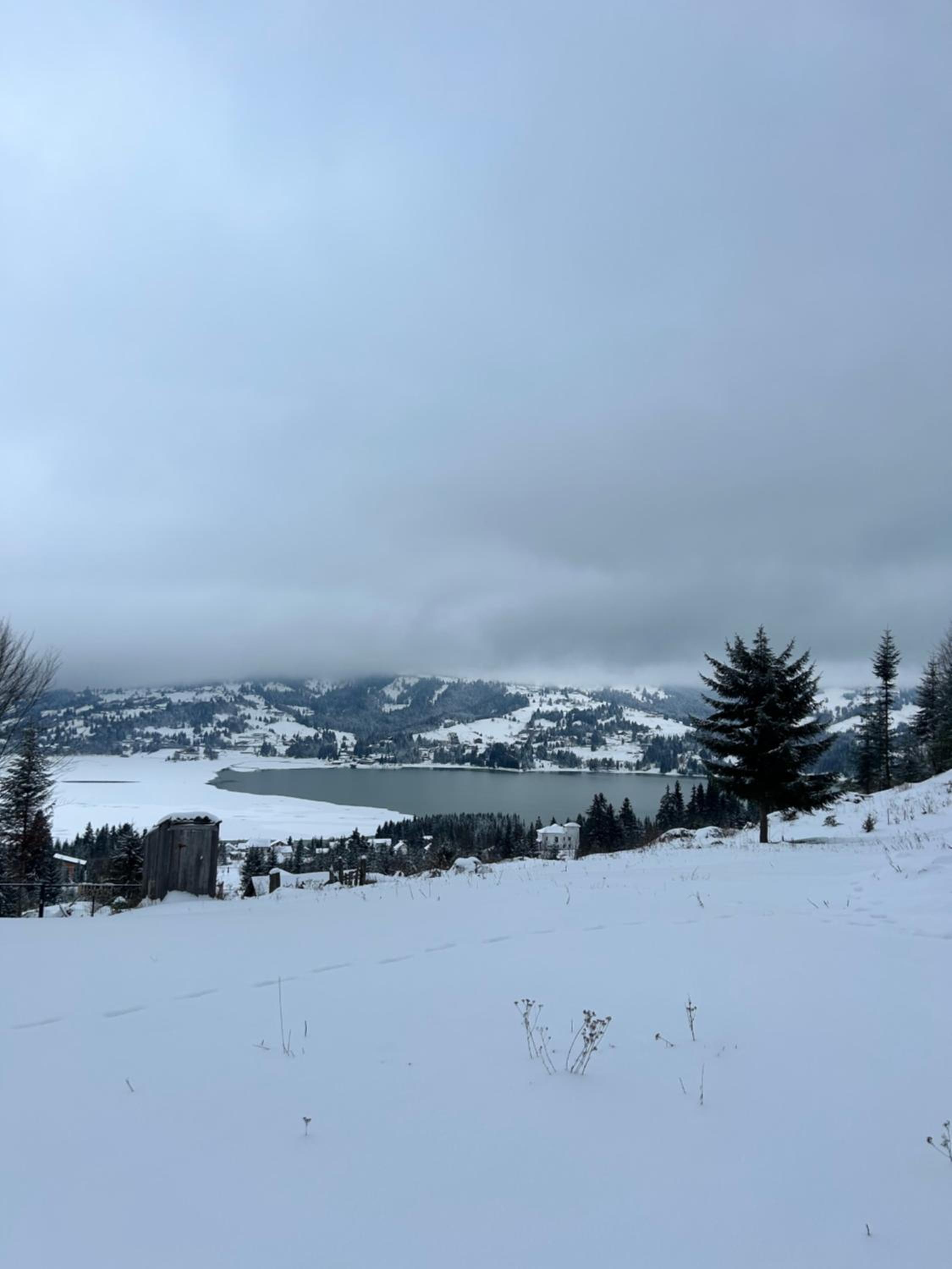 Bârlogul Urșilor