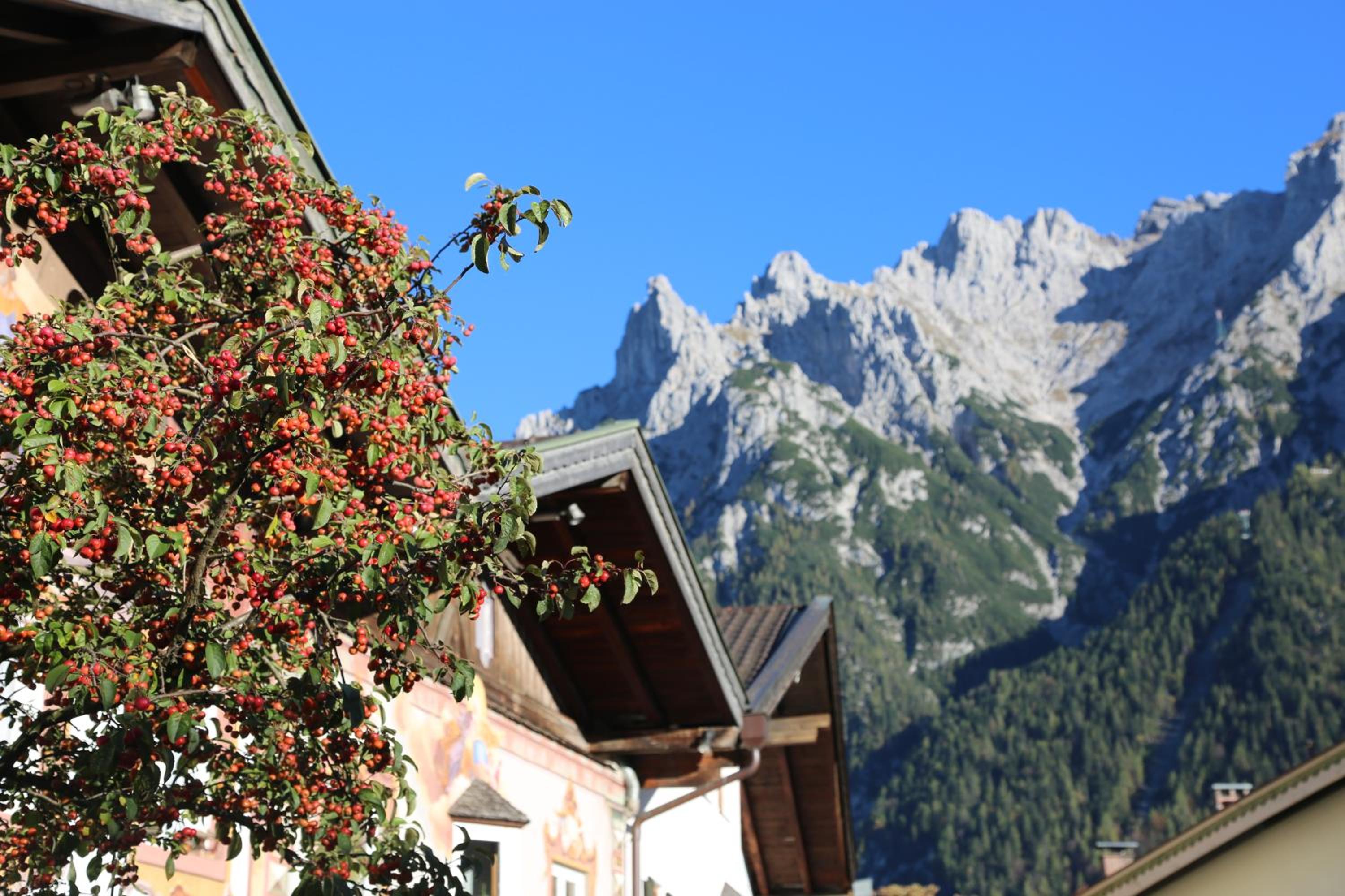 Gästehaus Lärchenhang