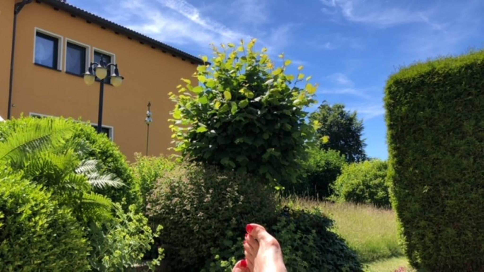 Ferienwohnung Fichtelnest