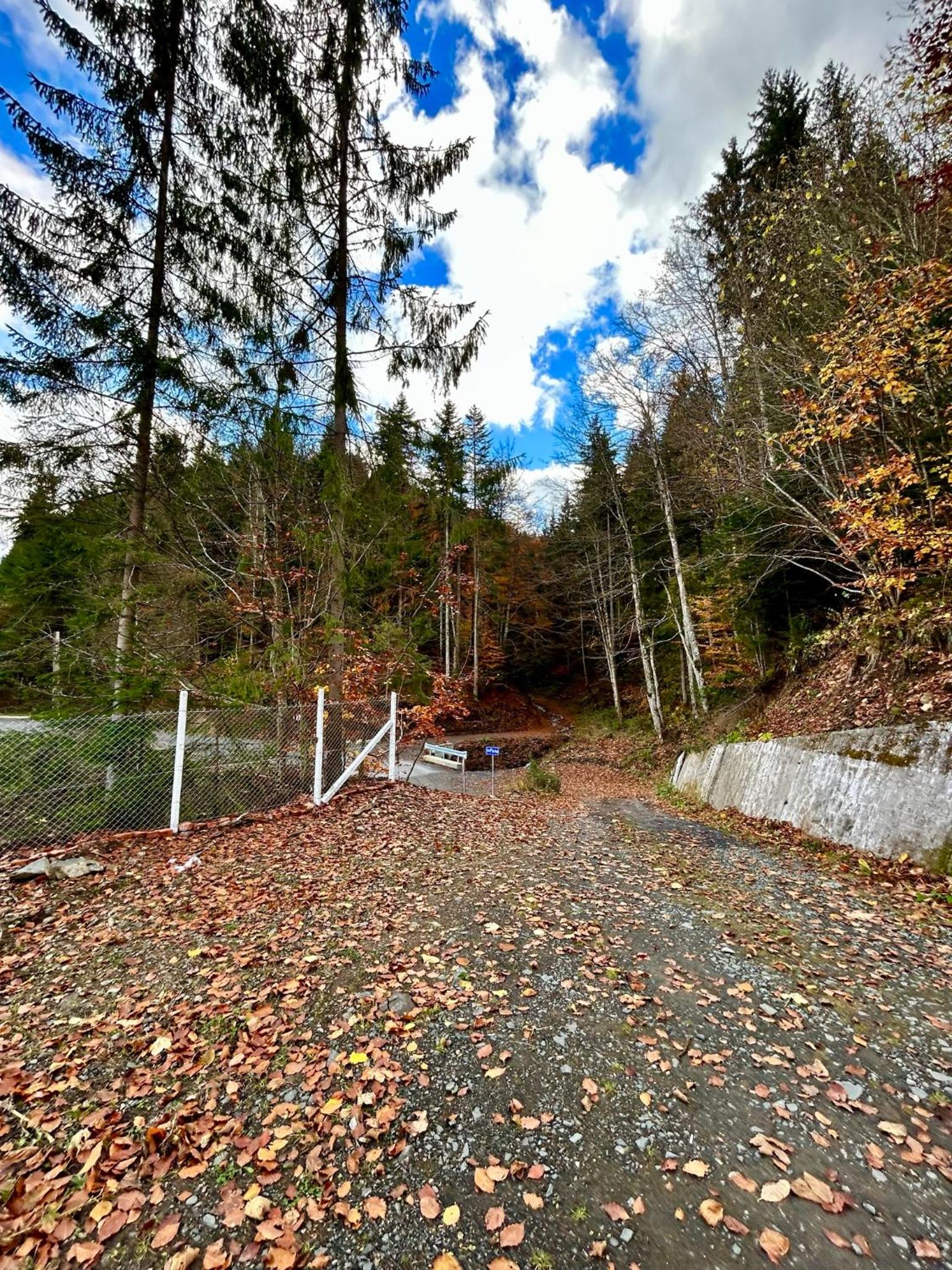 Bârlogul Urșilor