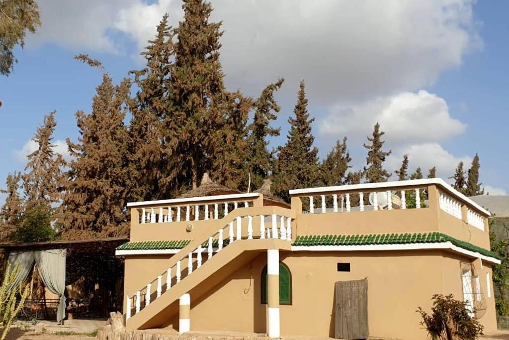 Riad Elaissi