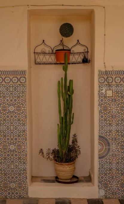 Riad Elaissi