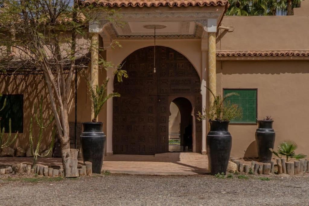Riad Elaissi