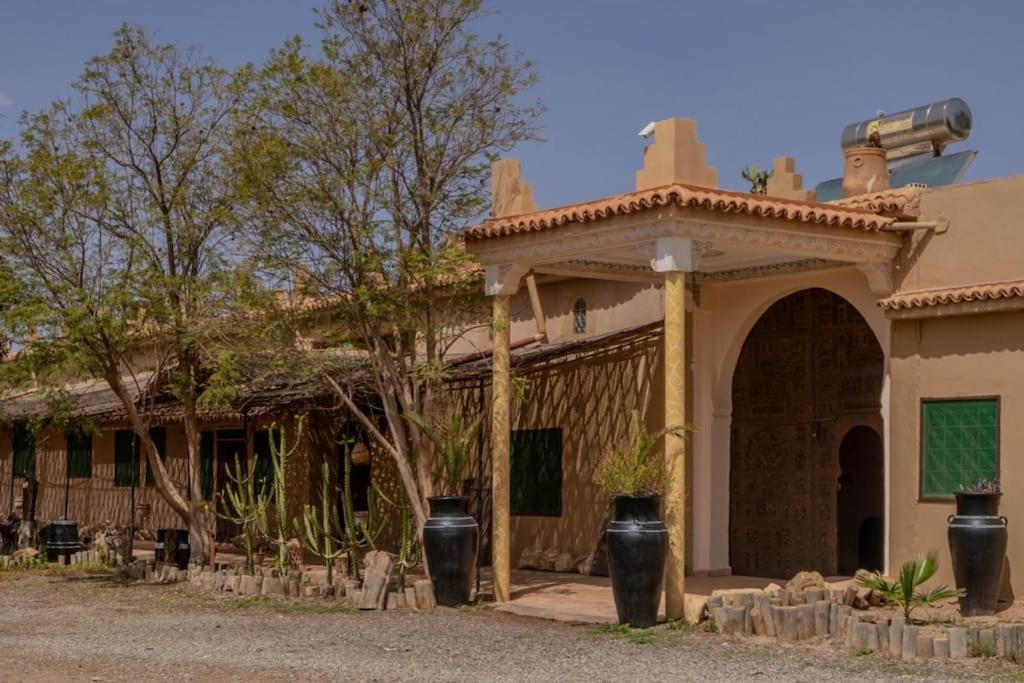 Riad Elaissi