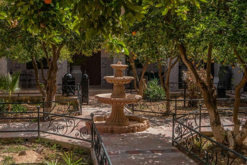 Riad Elaissi