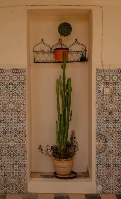 Riad Elaissi