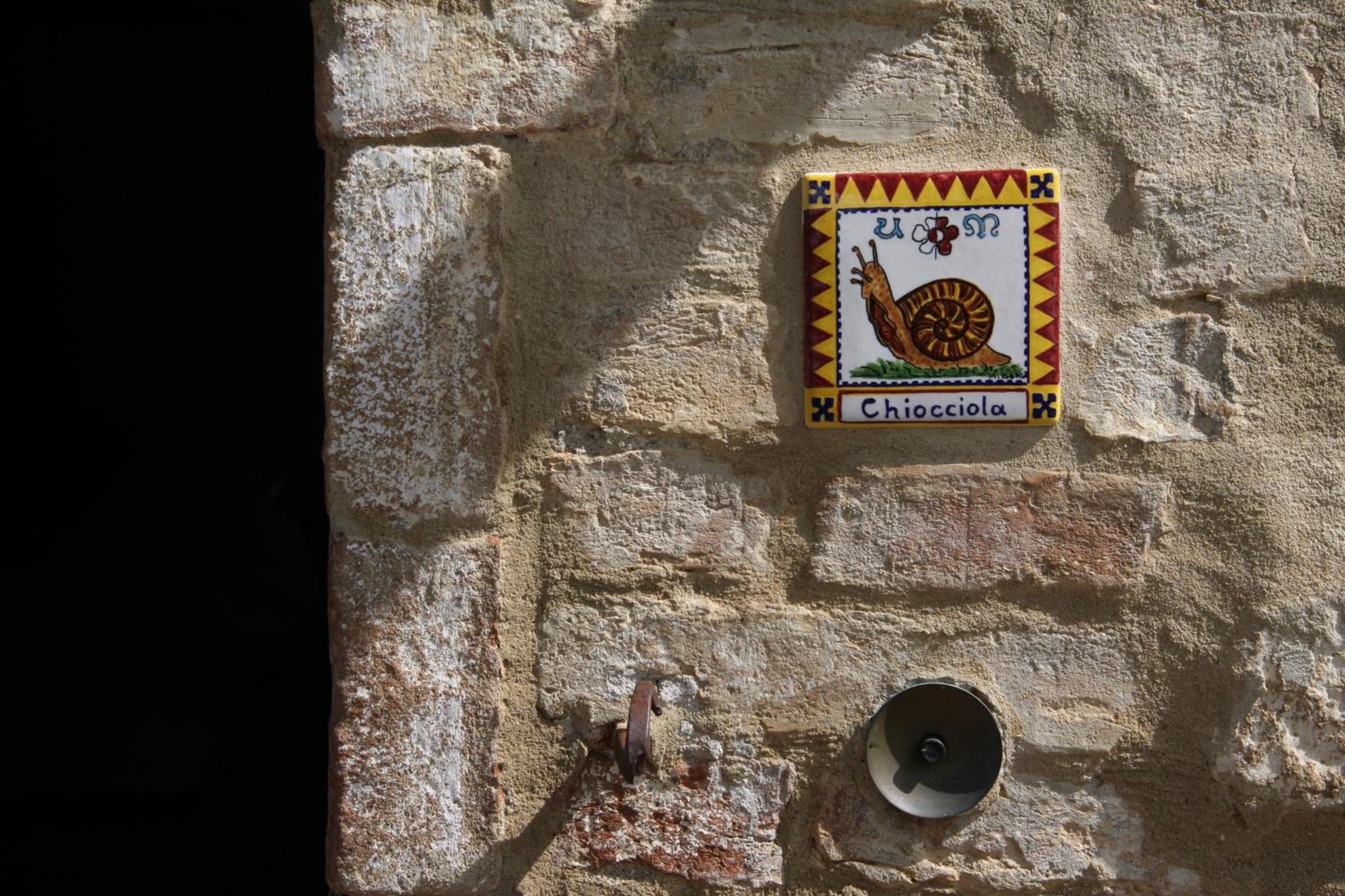 Agriturismo Selvoli - La Chiocciola photo 4