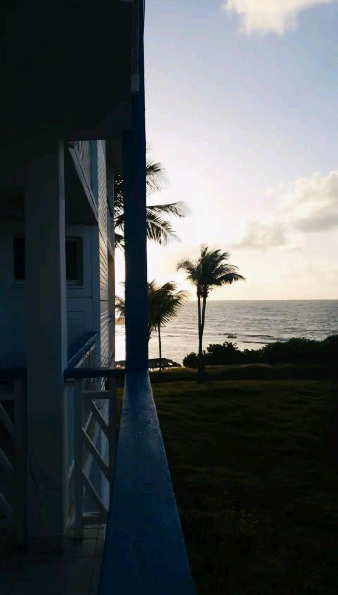MangoSoleil
