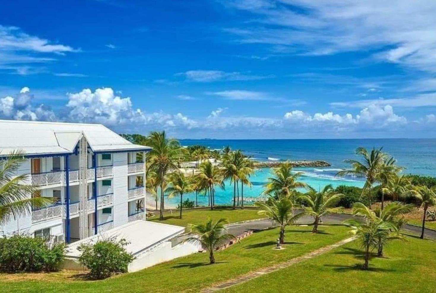 MangoSoleil