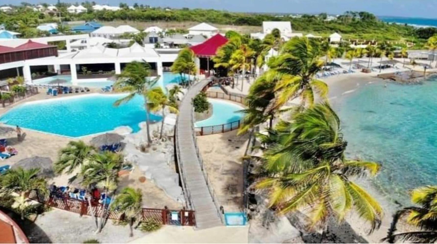 MangoSoleil