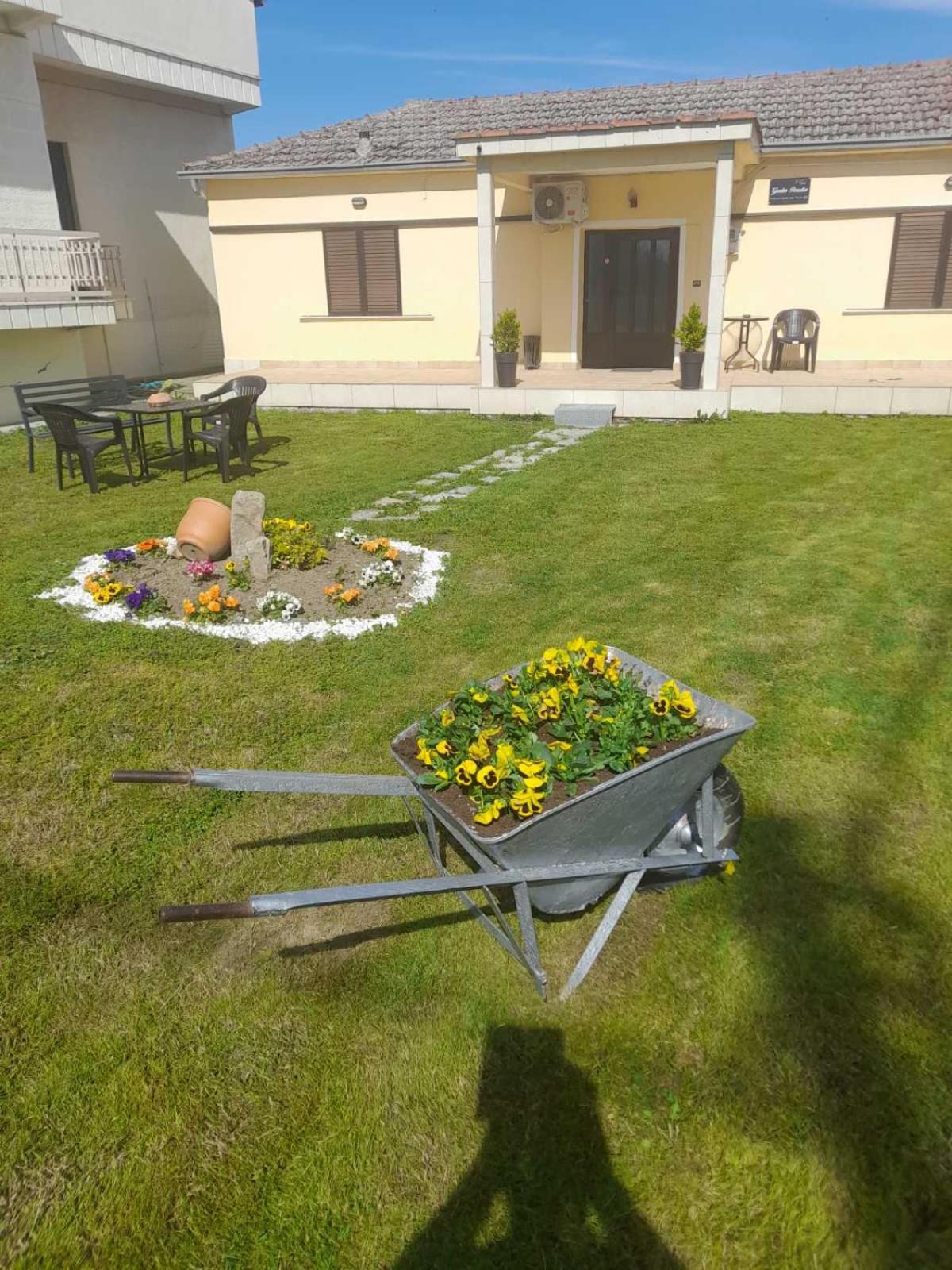 Photo 16