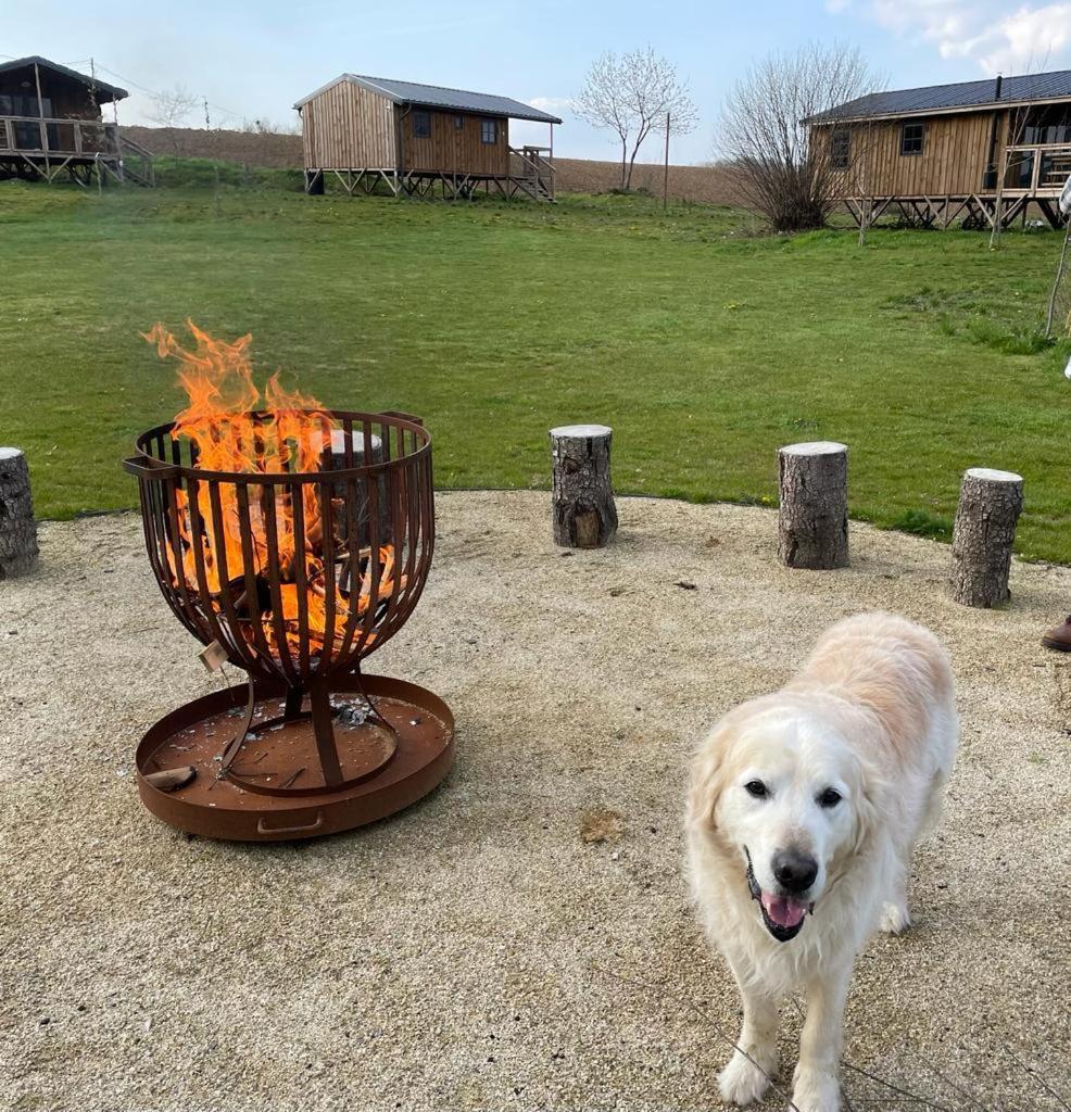 Ecau Lodge - Logement insolite à 30km de Pairi Daiza
