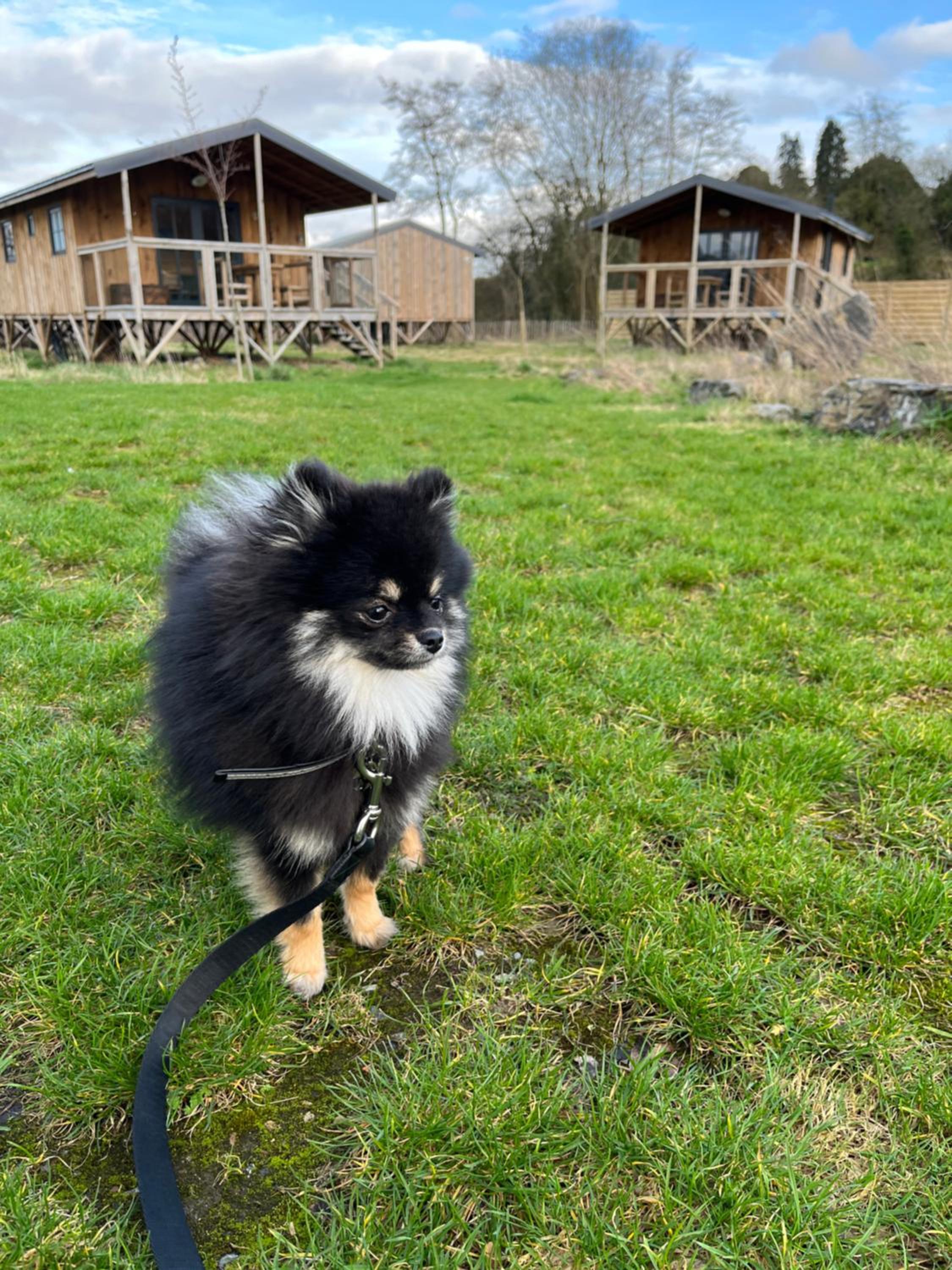 Ecau Lodge - Logement insolite à 30km de Pairi Daiza