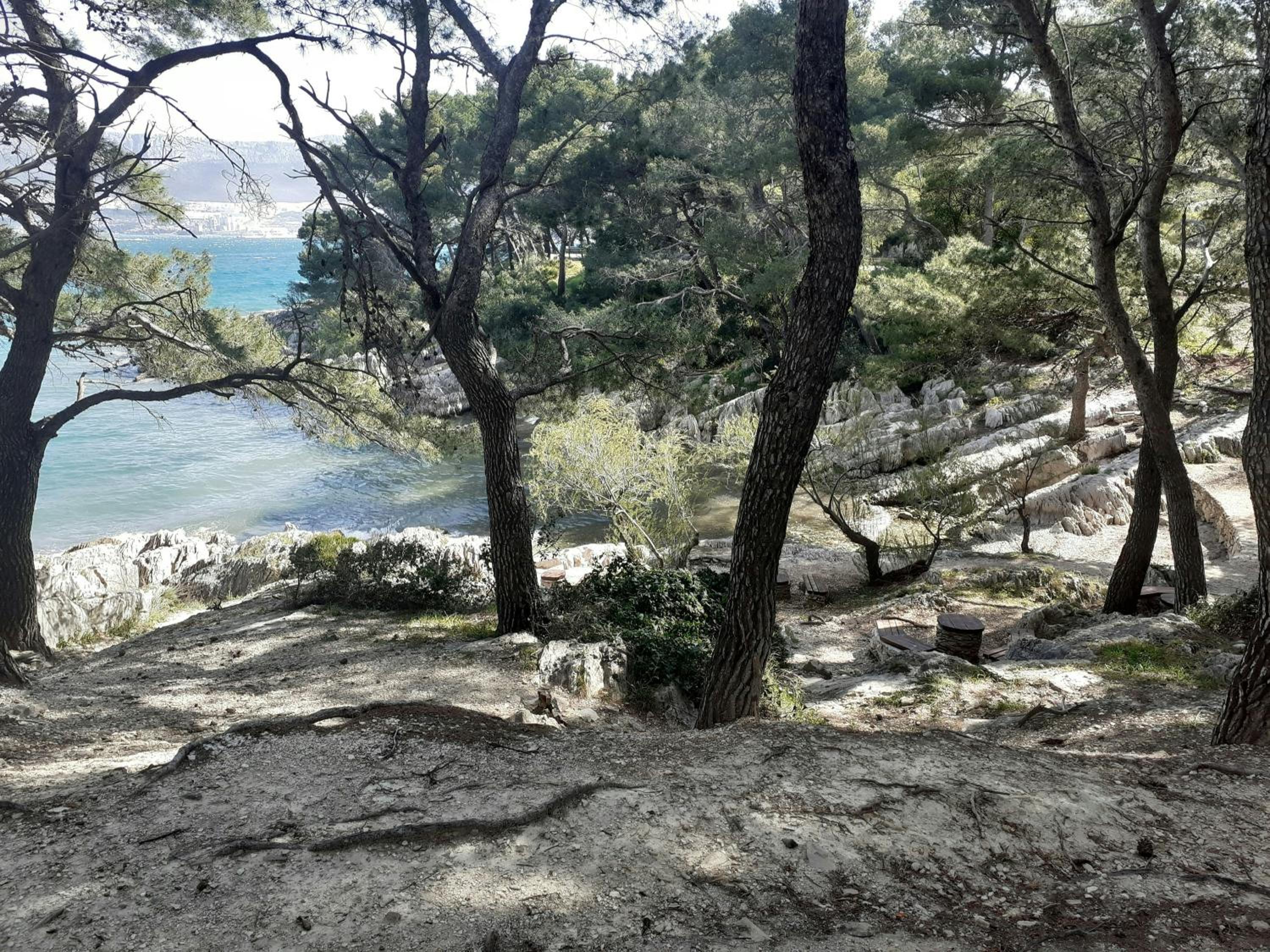 Luka