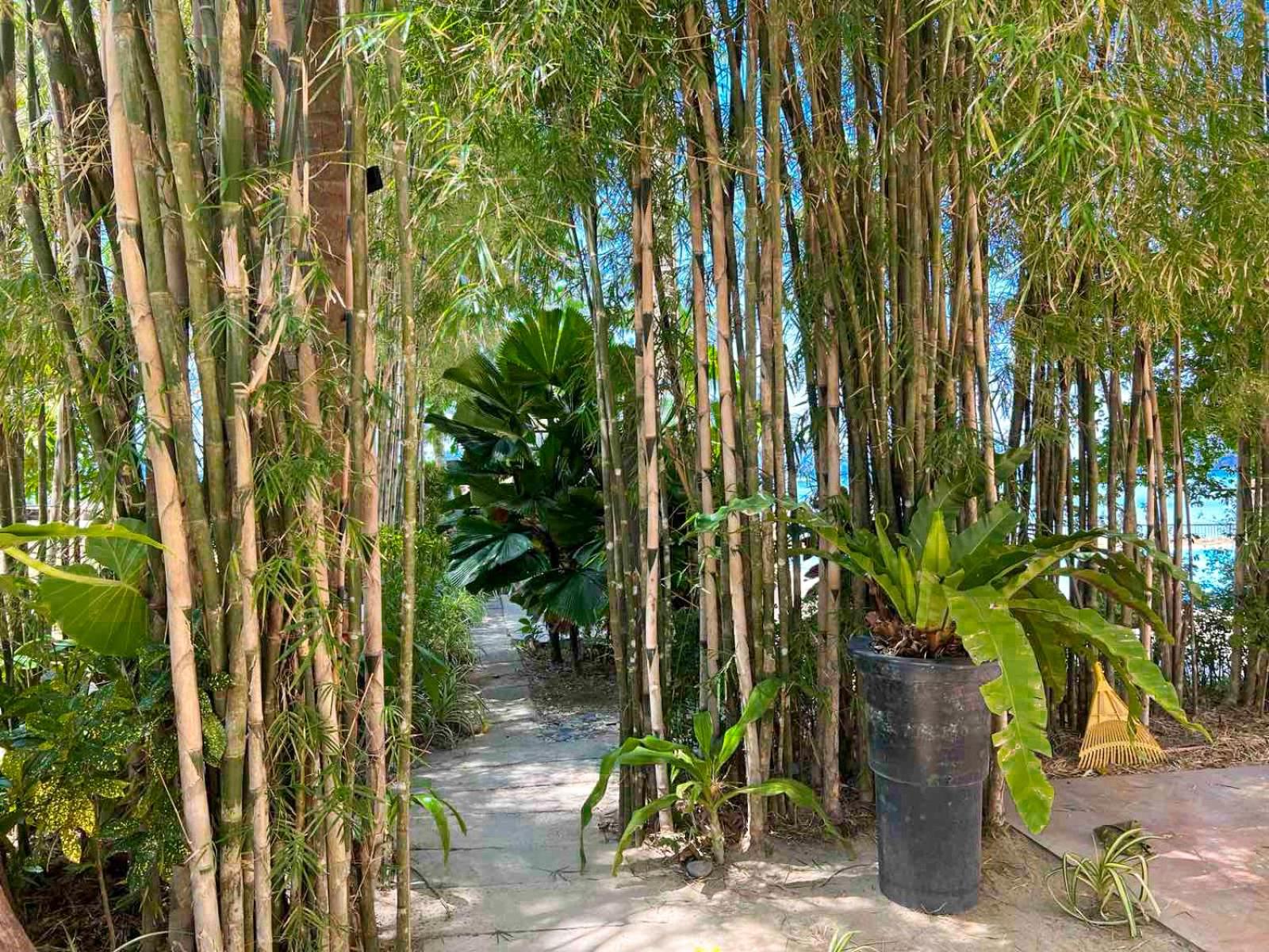 Doublegem Beach Resort and Hotel, photo 37