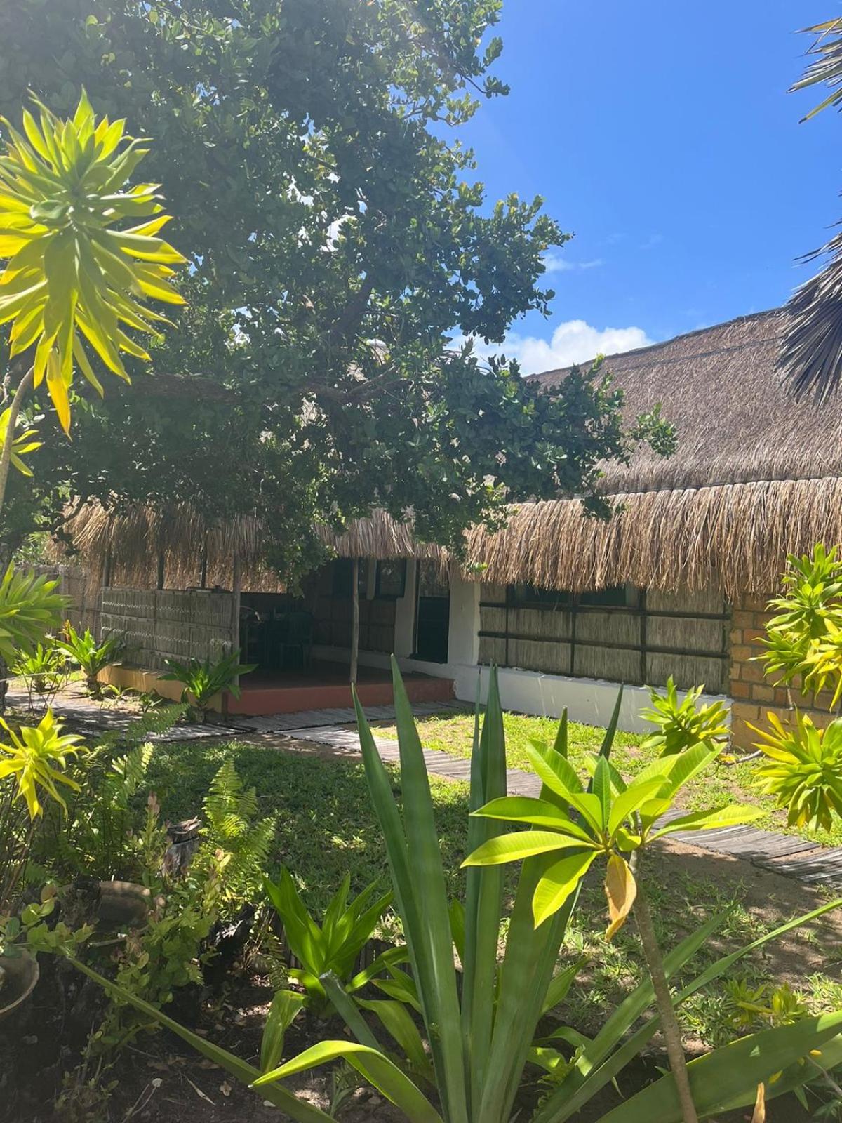 Mango Beach Resort
