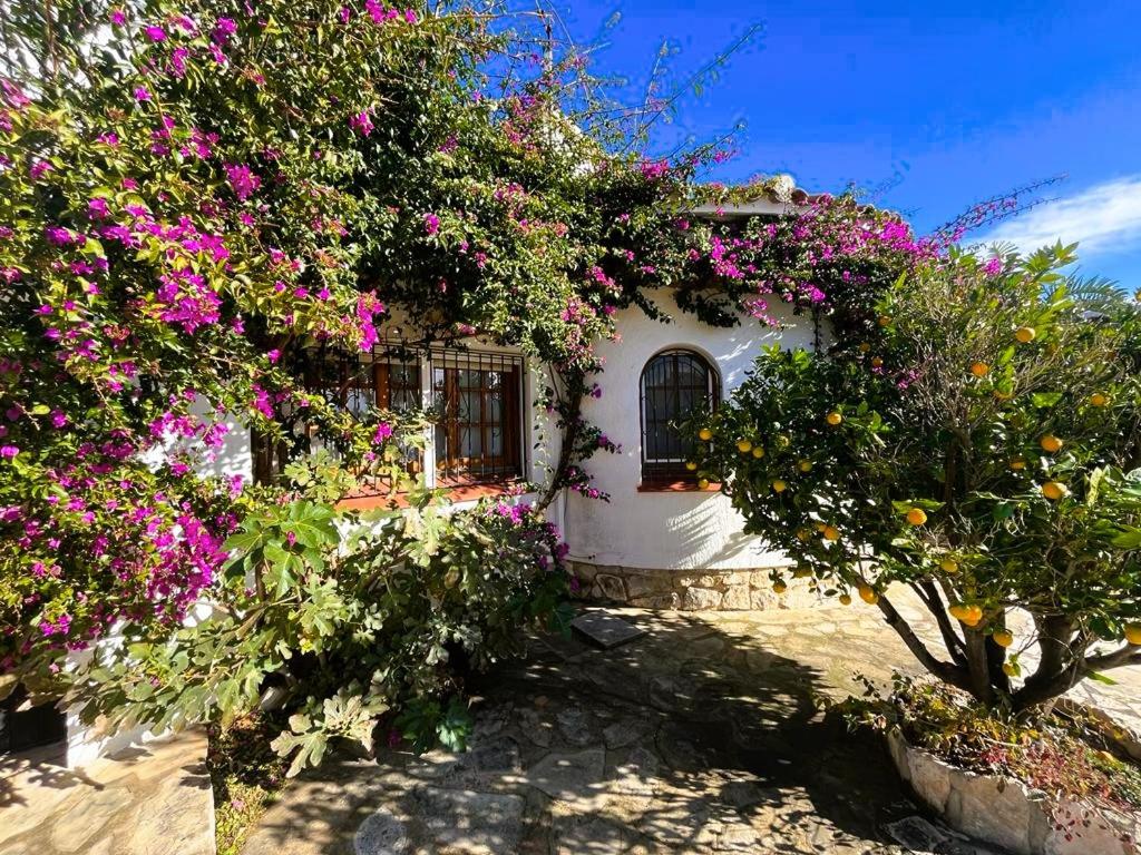 Villa Mary