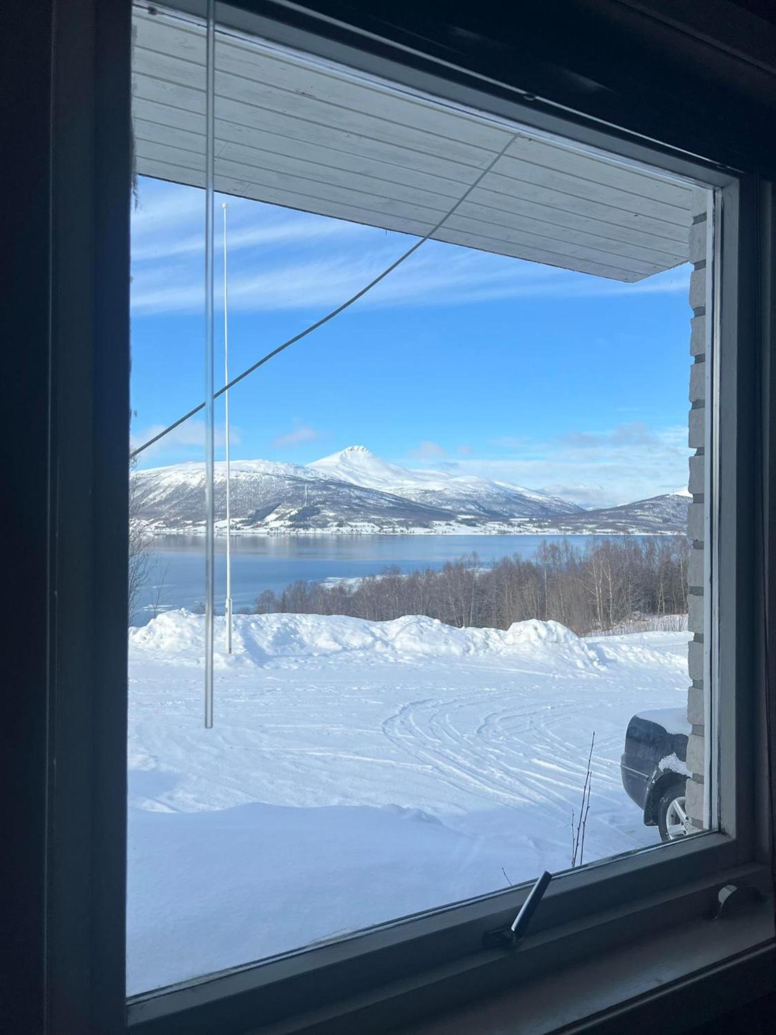 Northern lights room