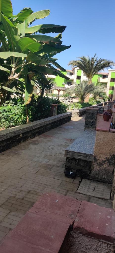 Perfect oasis in Paradise